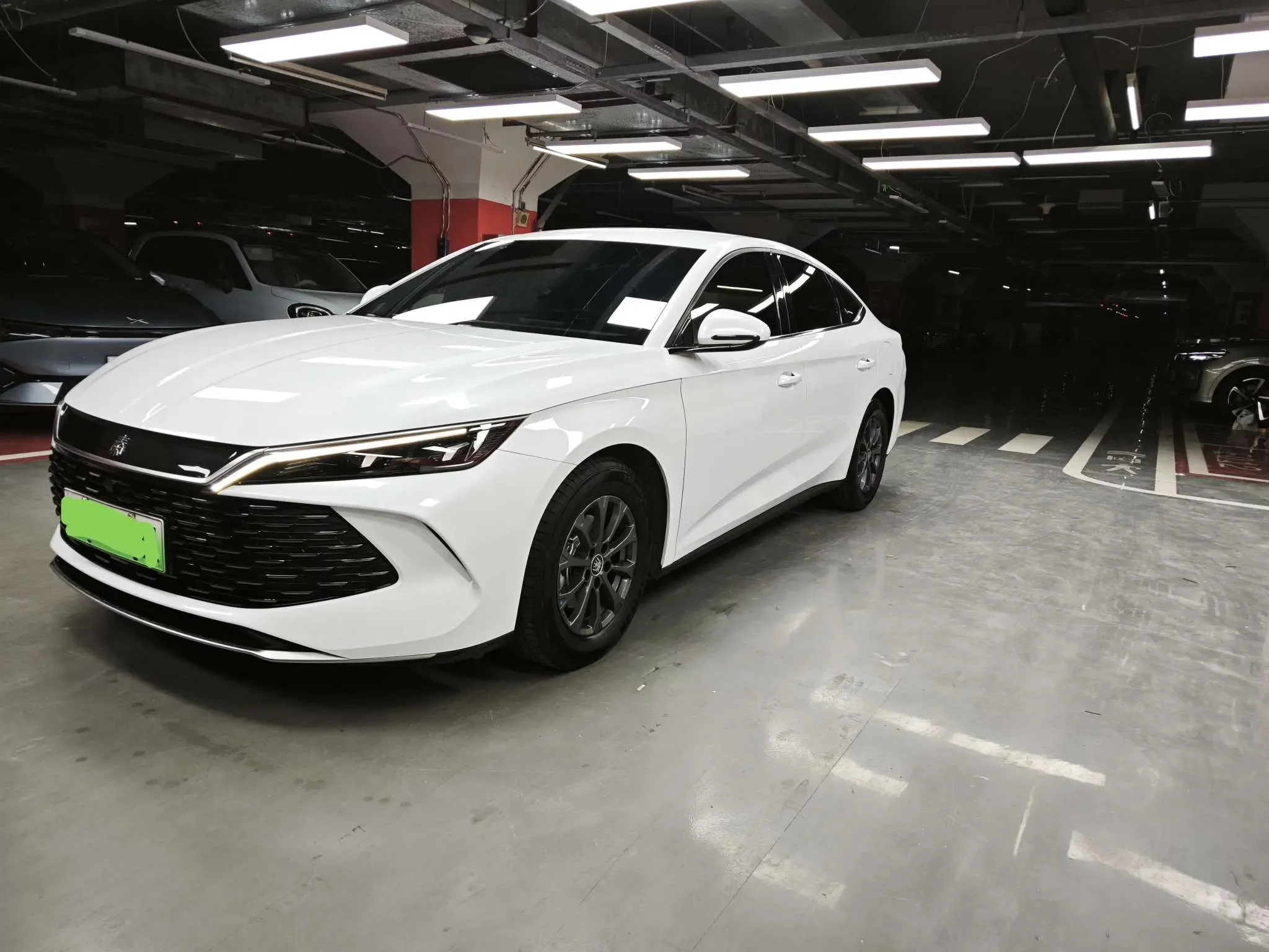 BYD Qin L DM