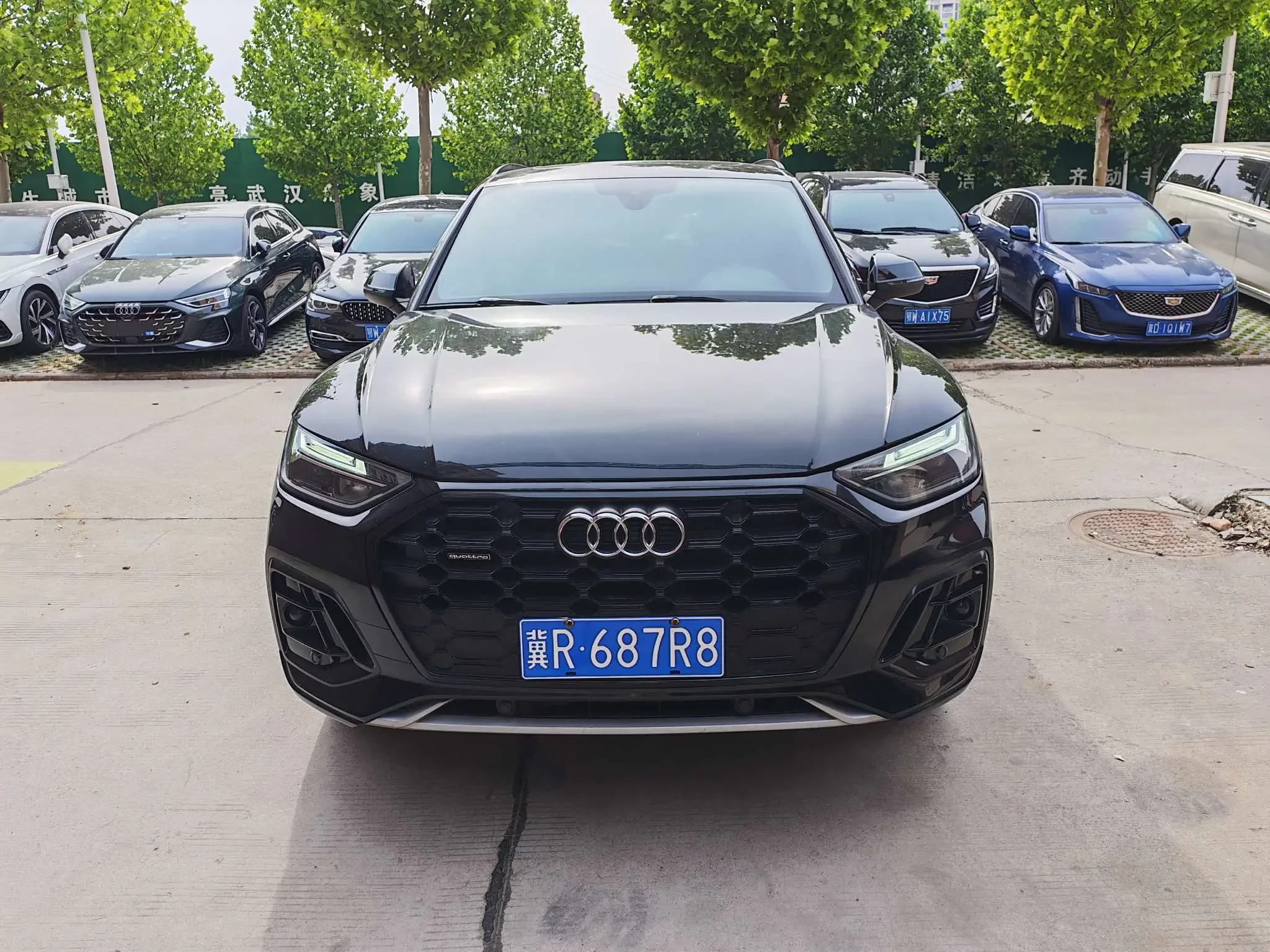 Audi Q5L