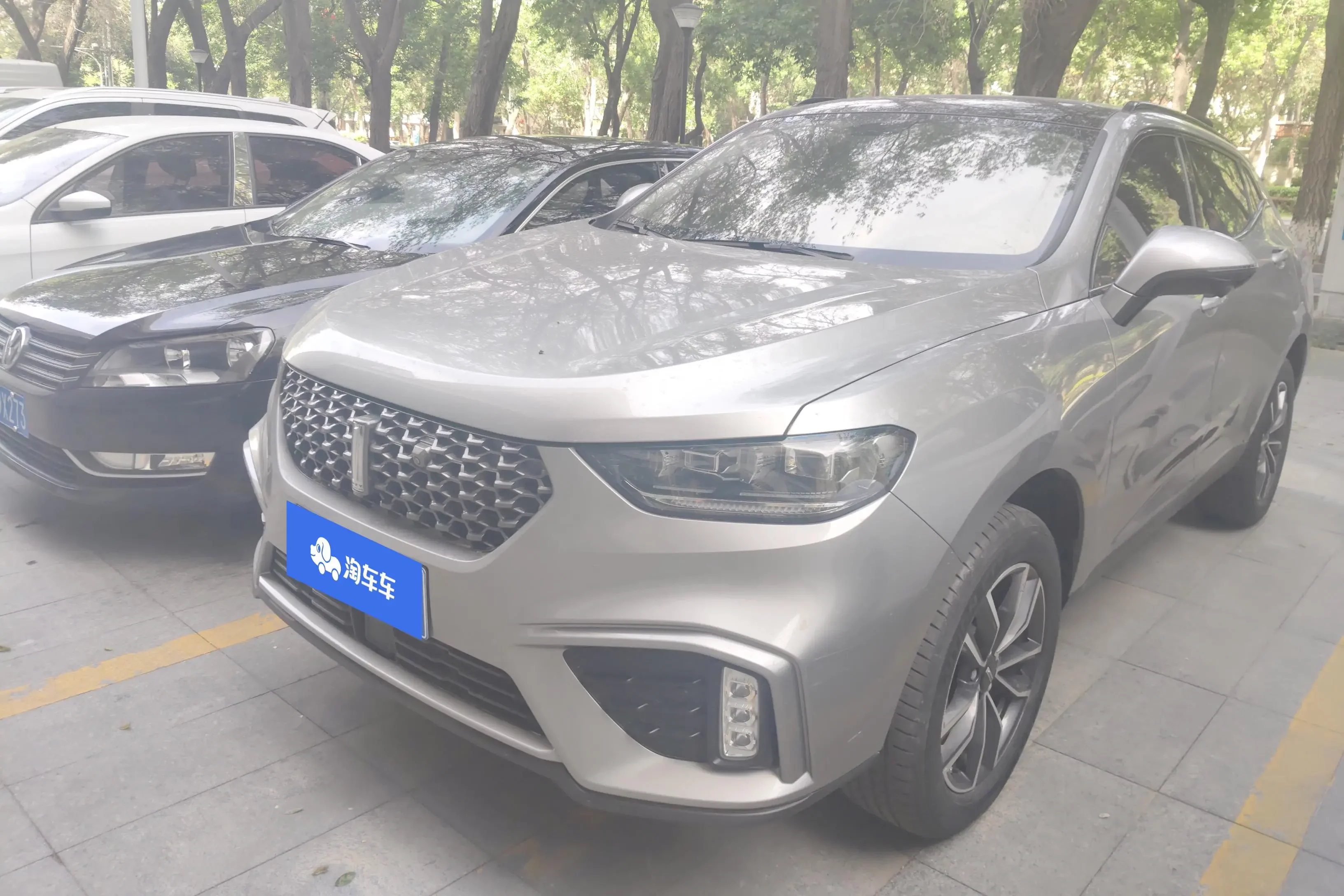 Wey Wei brand VV5