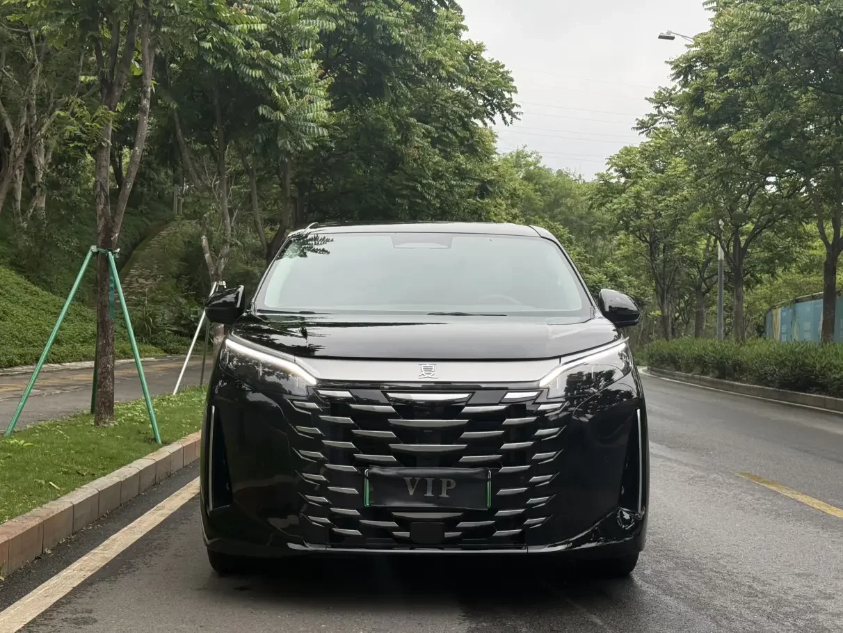 BYD summer