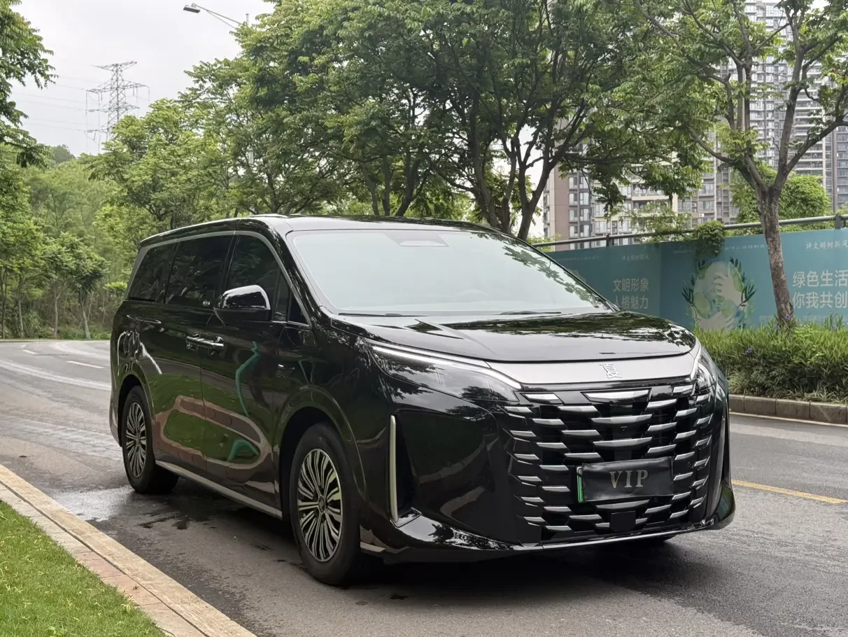 BYD summer