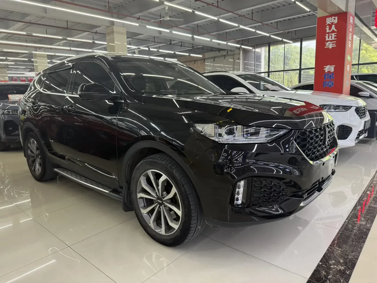 Wey Wei brand VV6