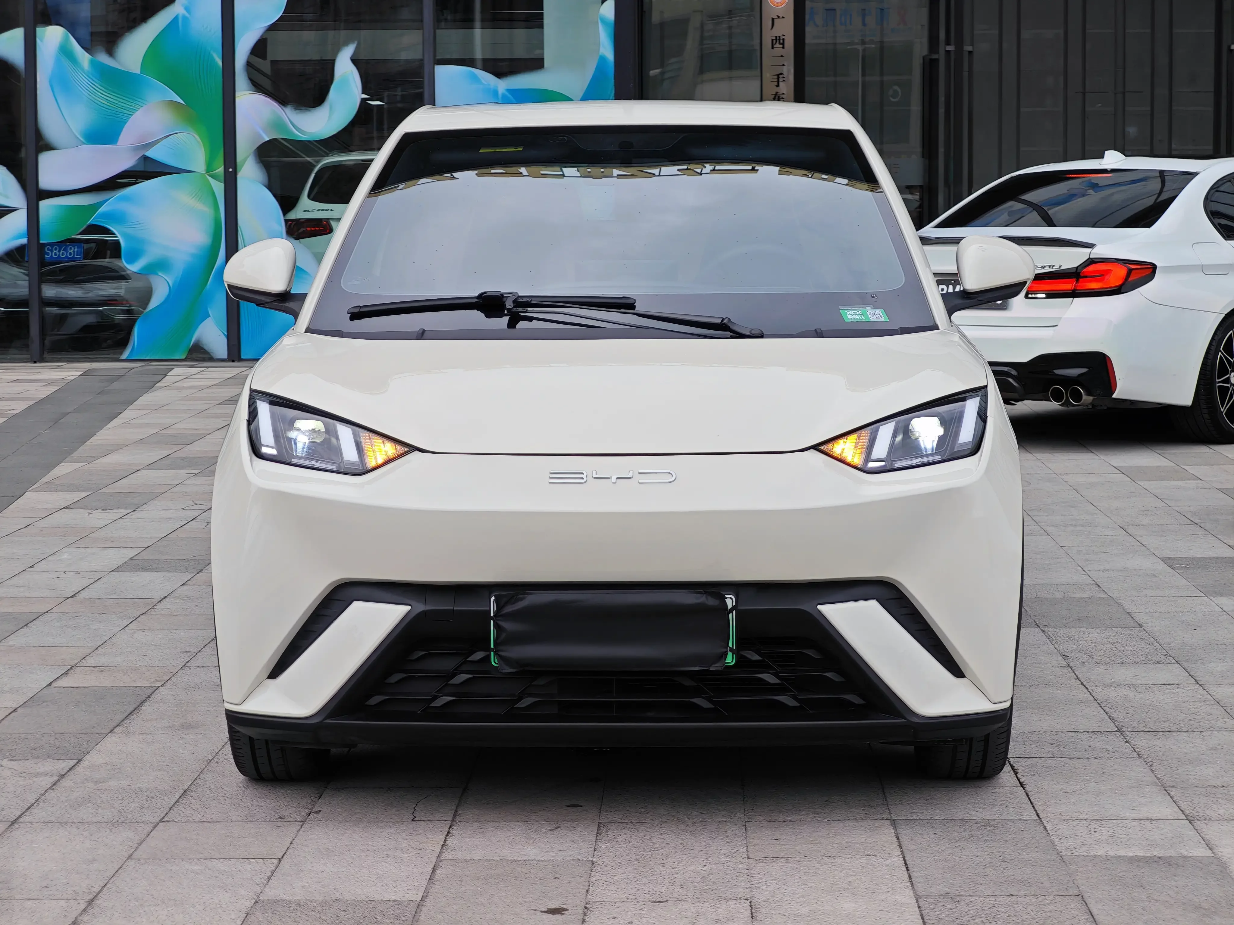 BYD seagull
