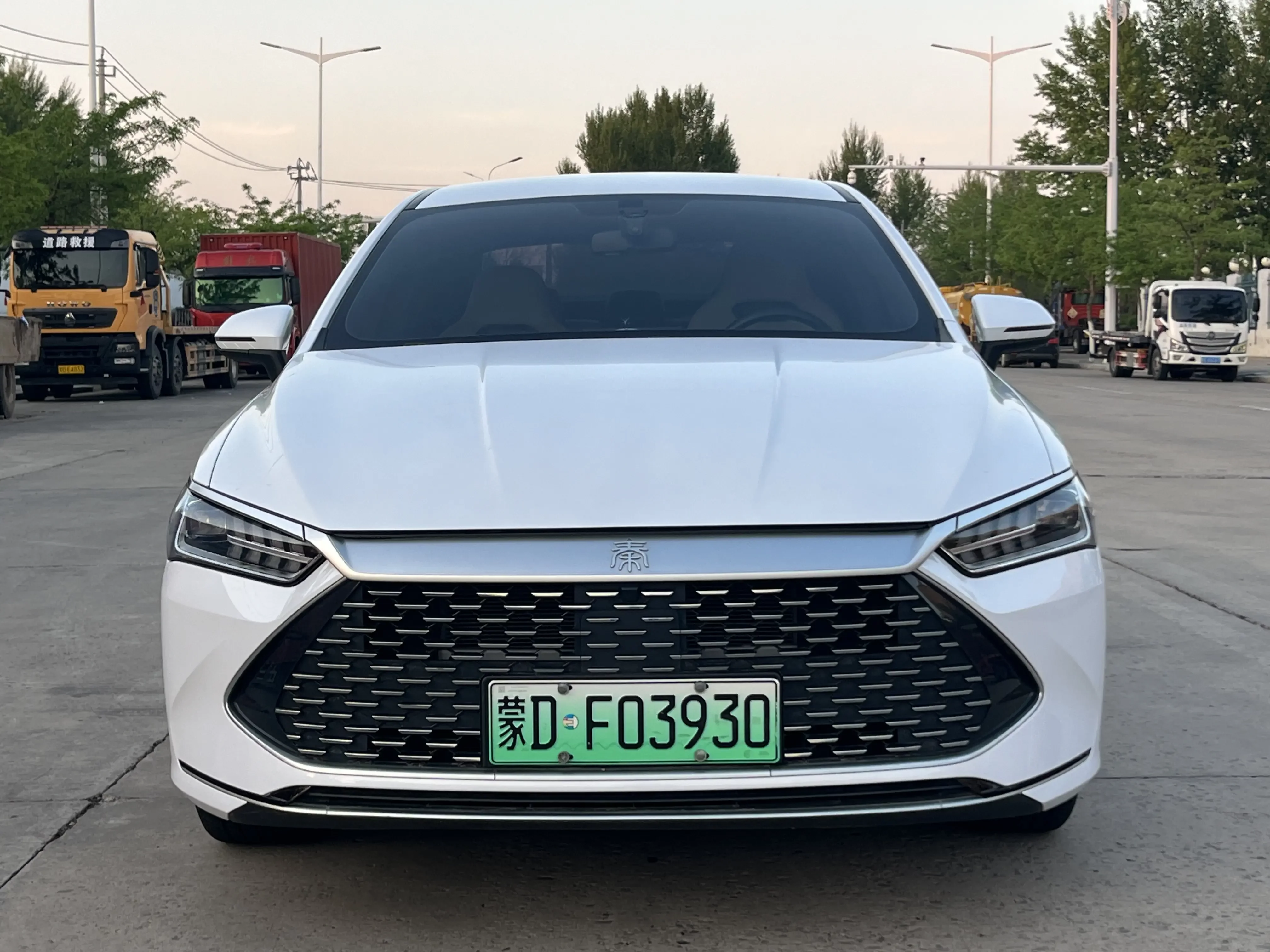 BYD Qin PLUS DM