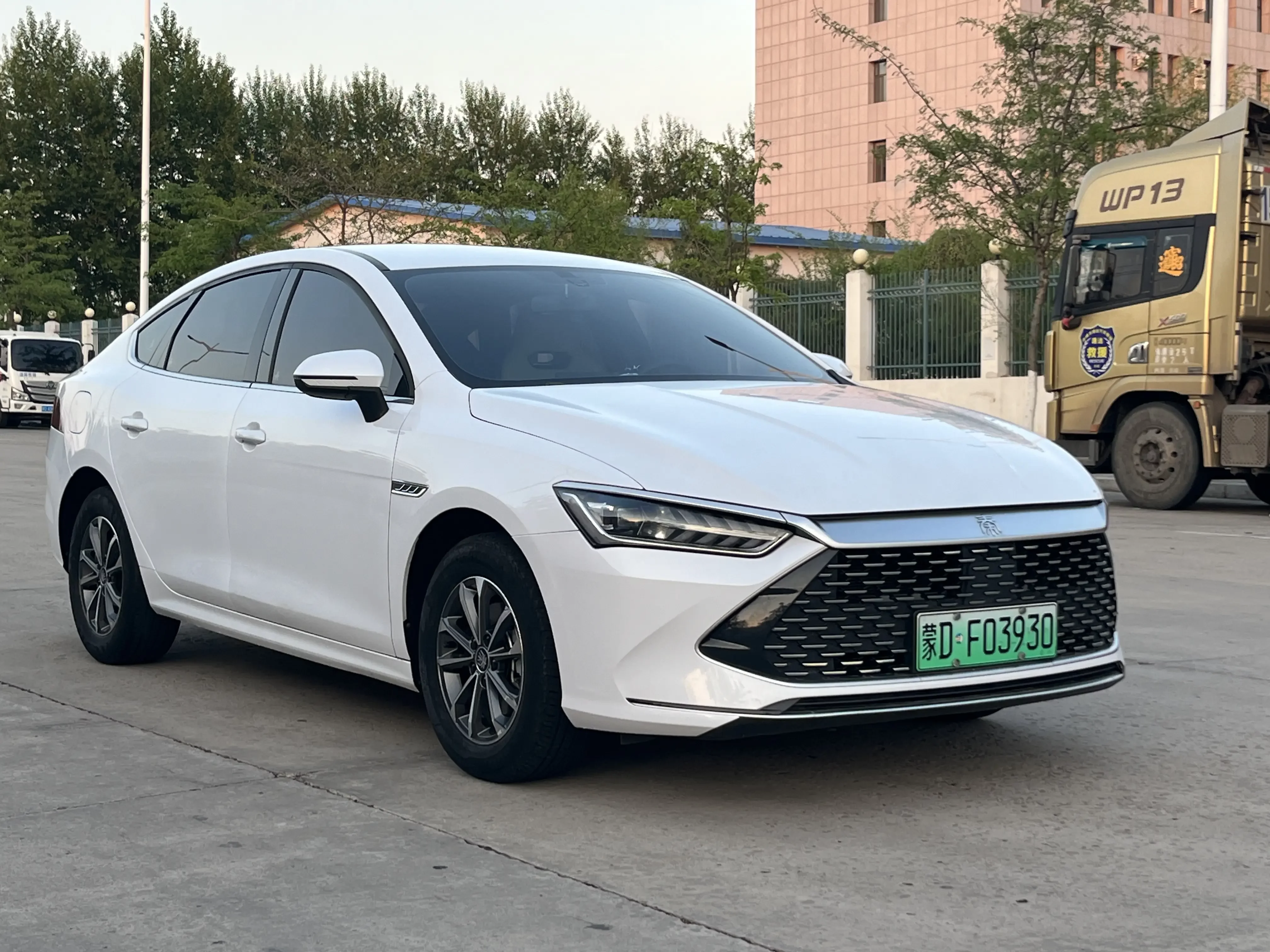 BYD Qin PLUS DM