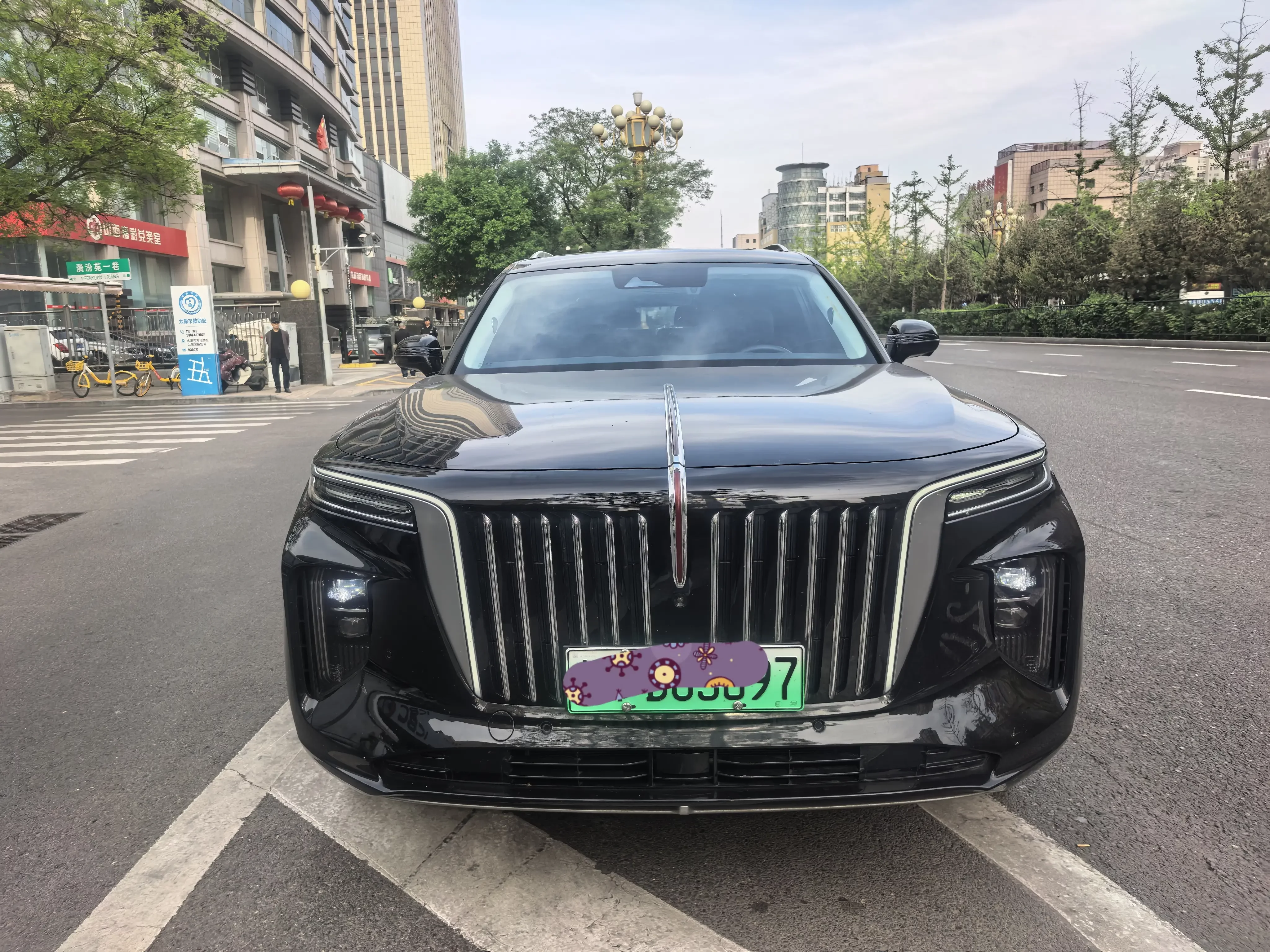 Hongqi E-HS9