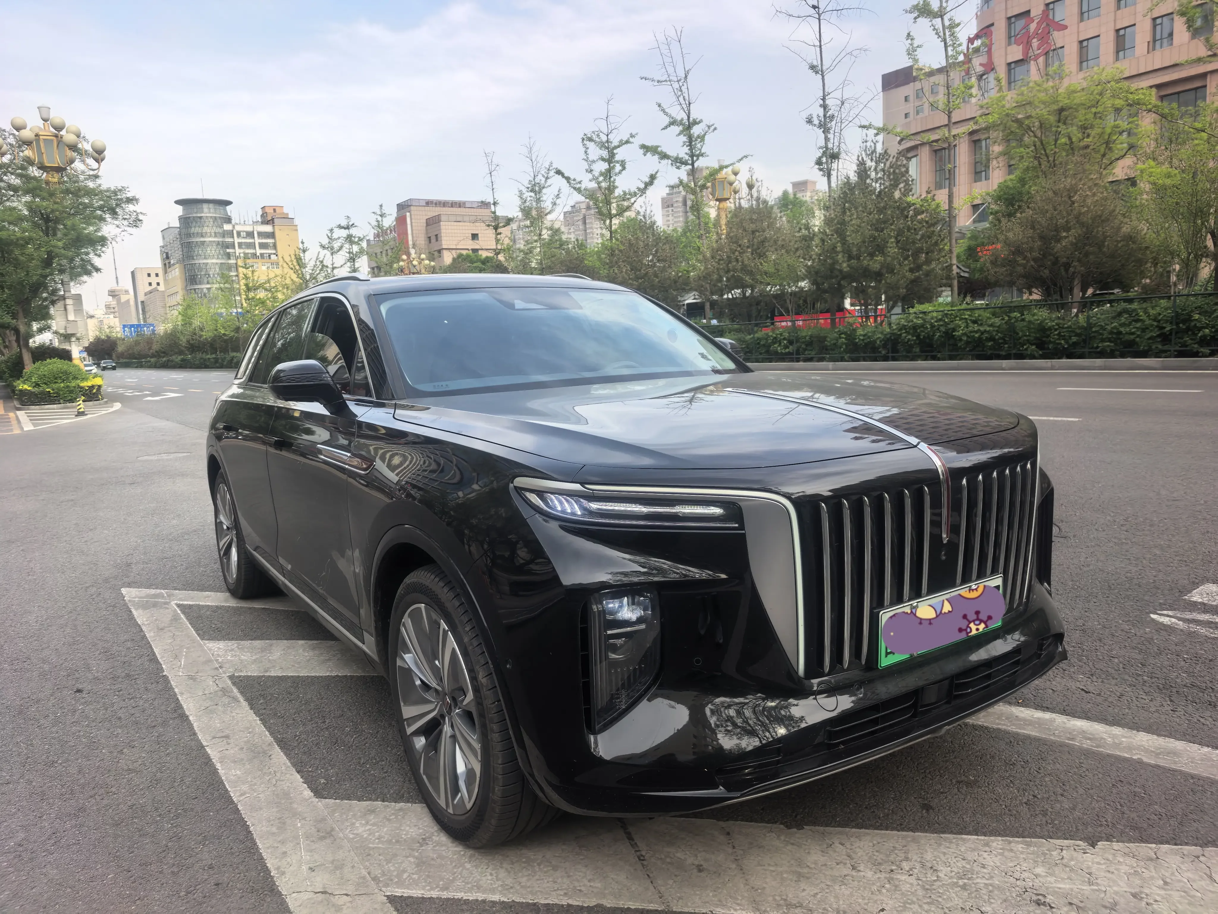 Hongqi E-HS9