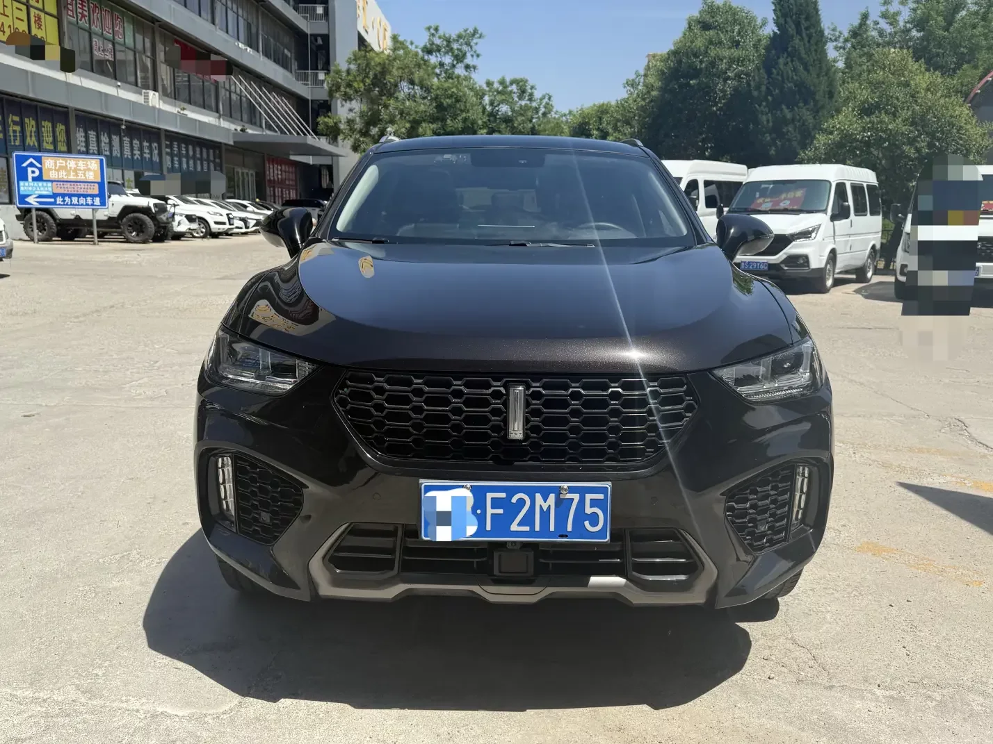 Wey Wei brand VV5
