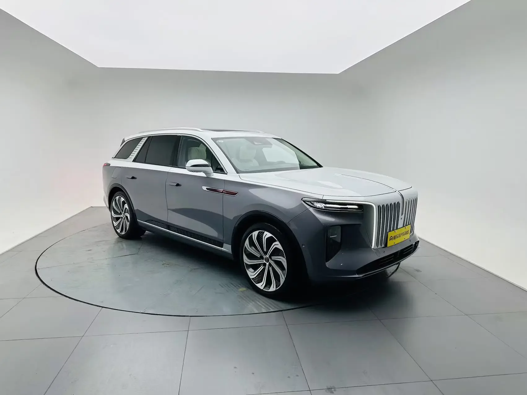 Hongqi E-HS9