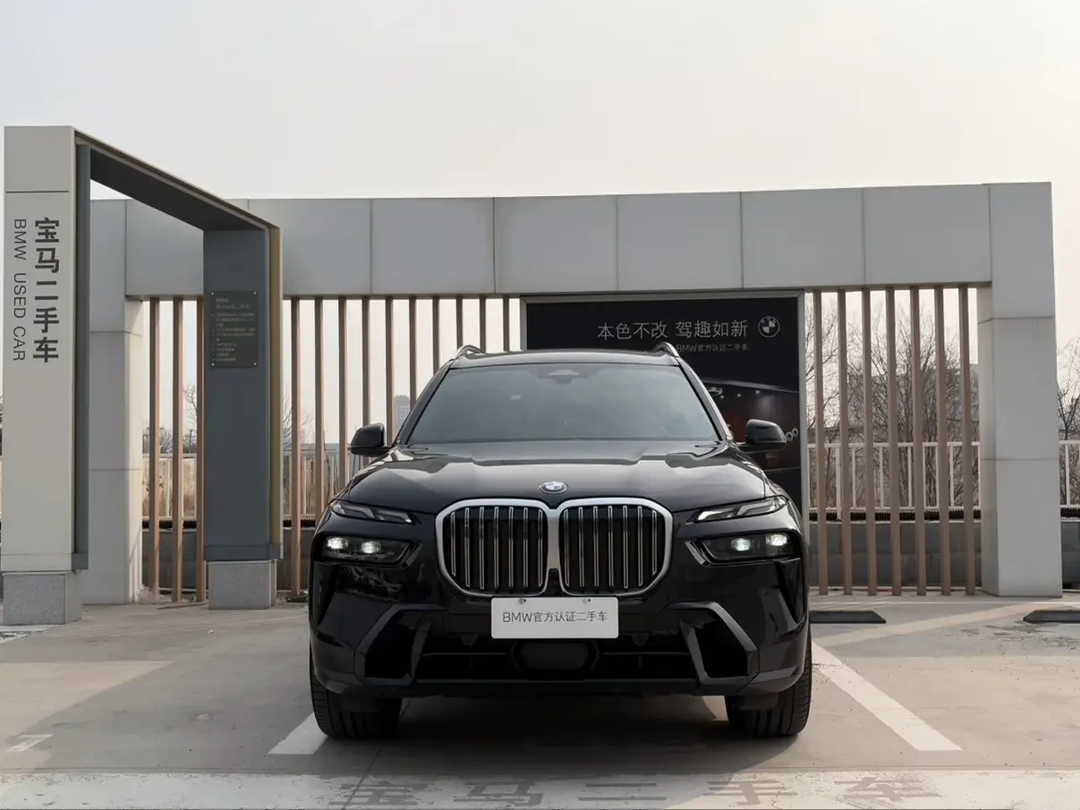 BMW X7
