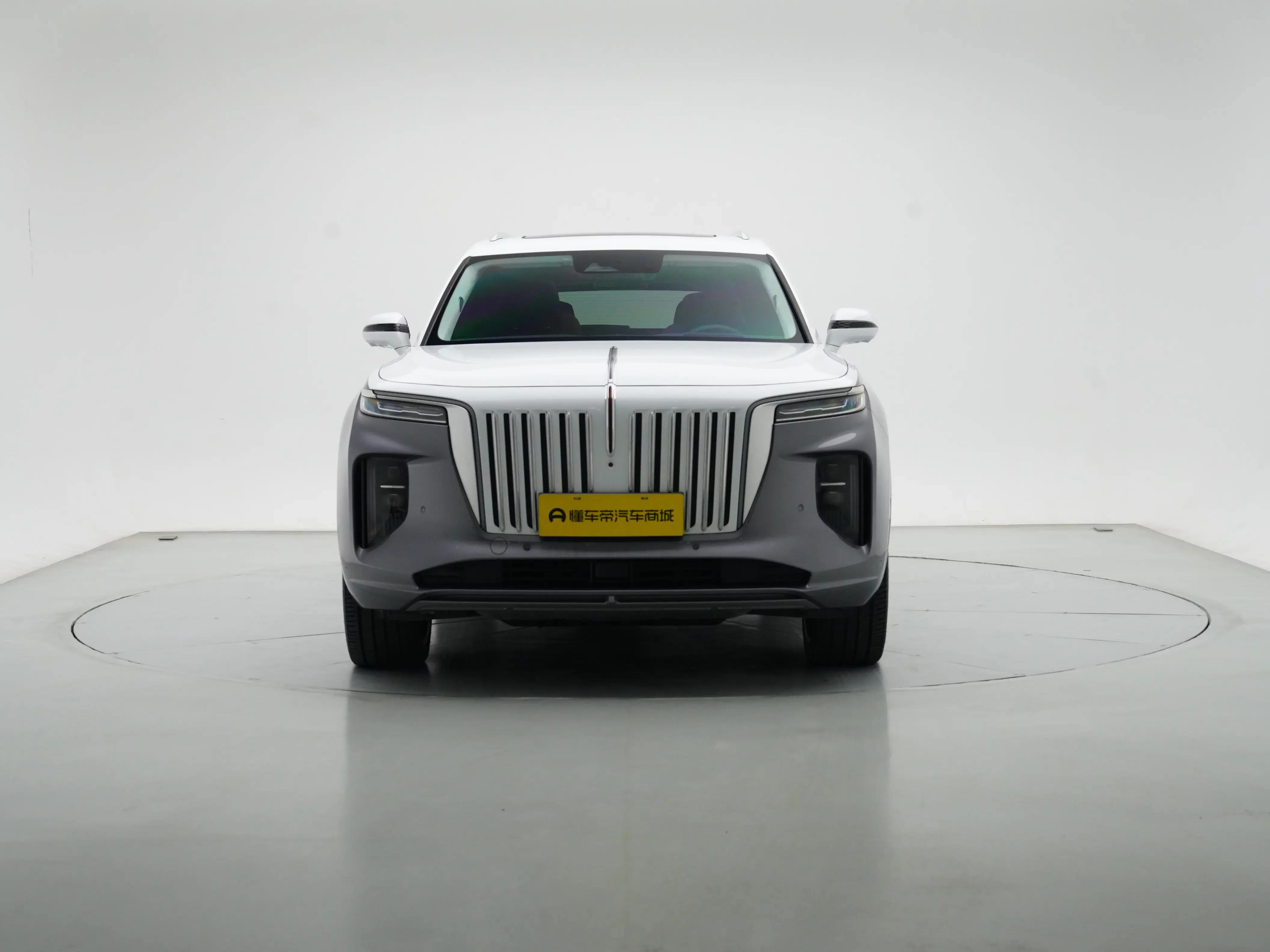 Hongqi E-HS9