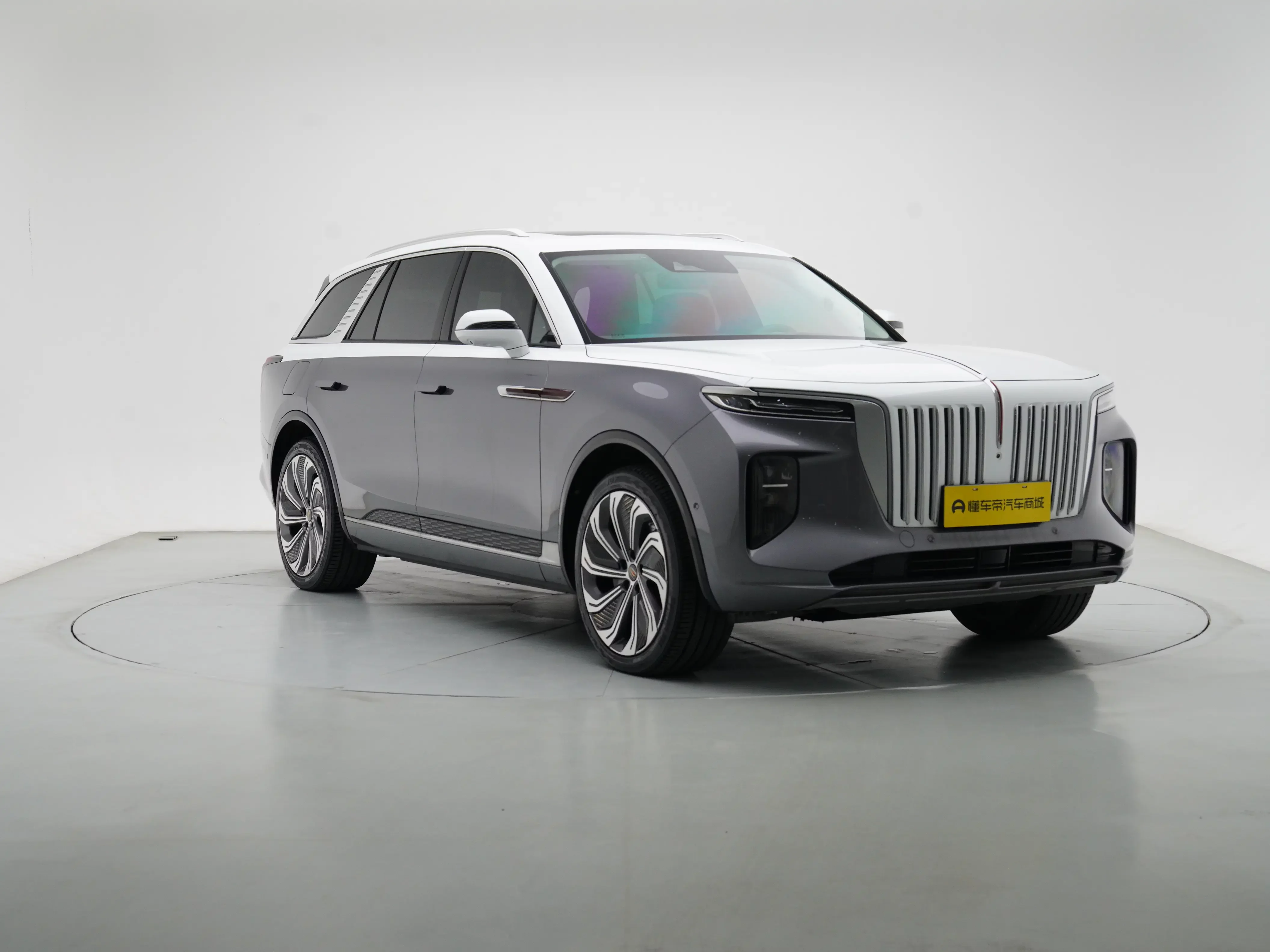 Hongqi E-HS9
