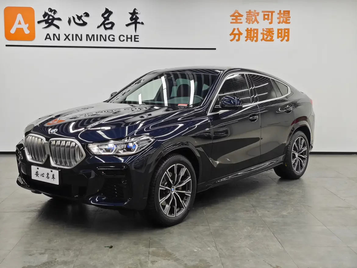 BMW X6