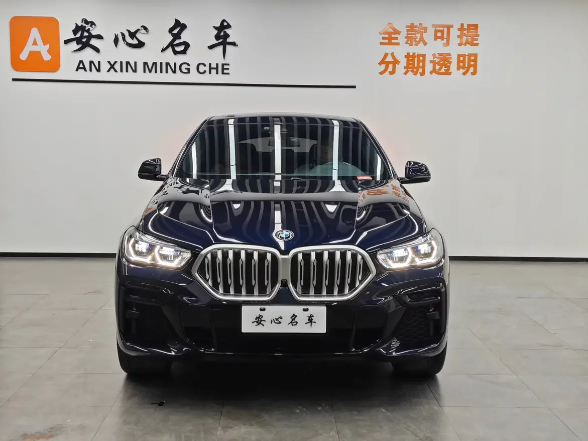 BMW X6
