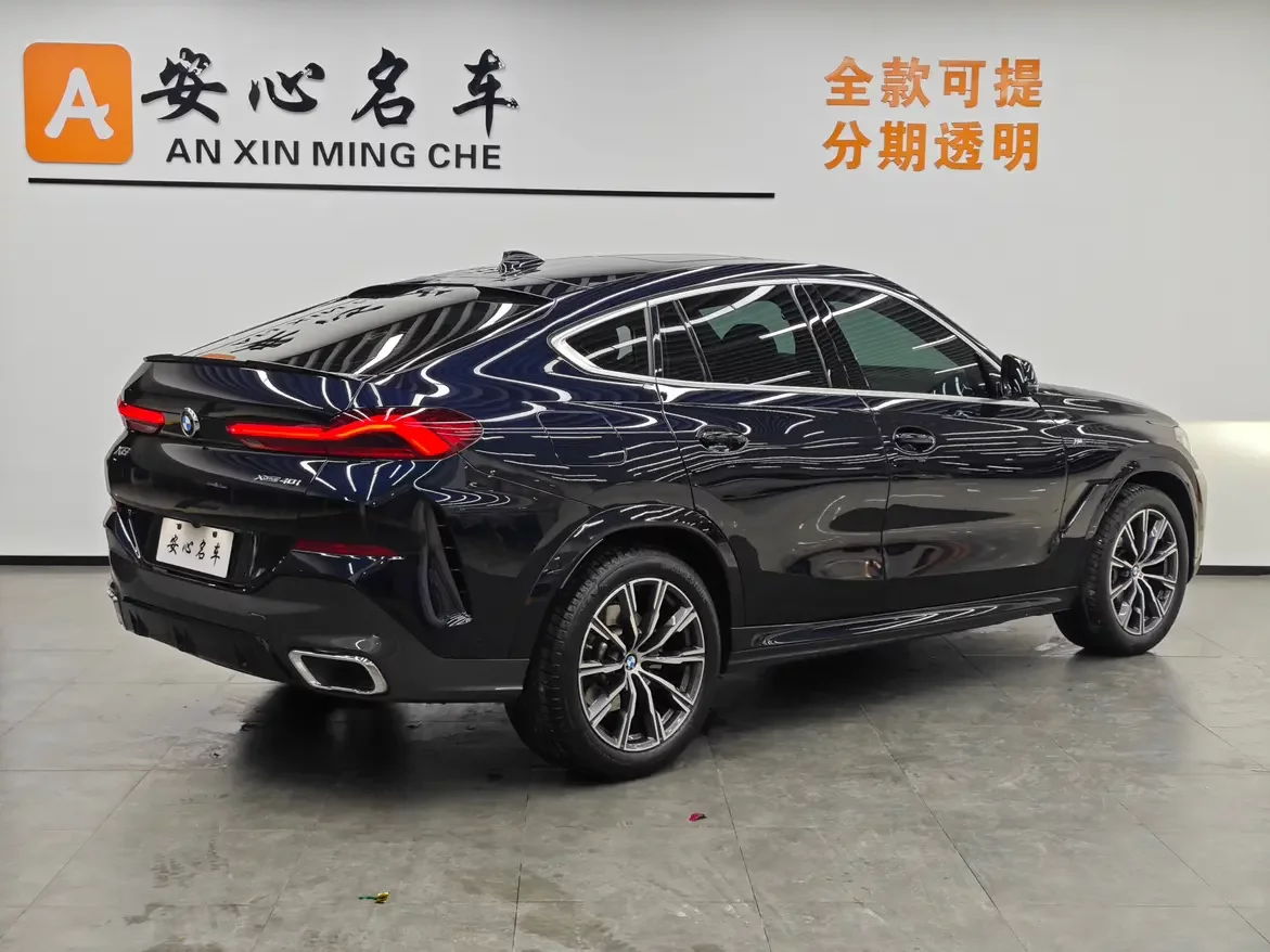 BMW X6
