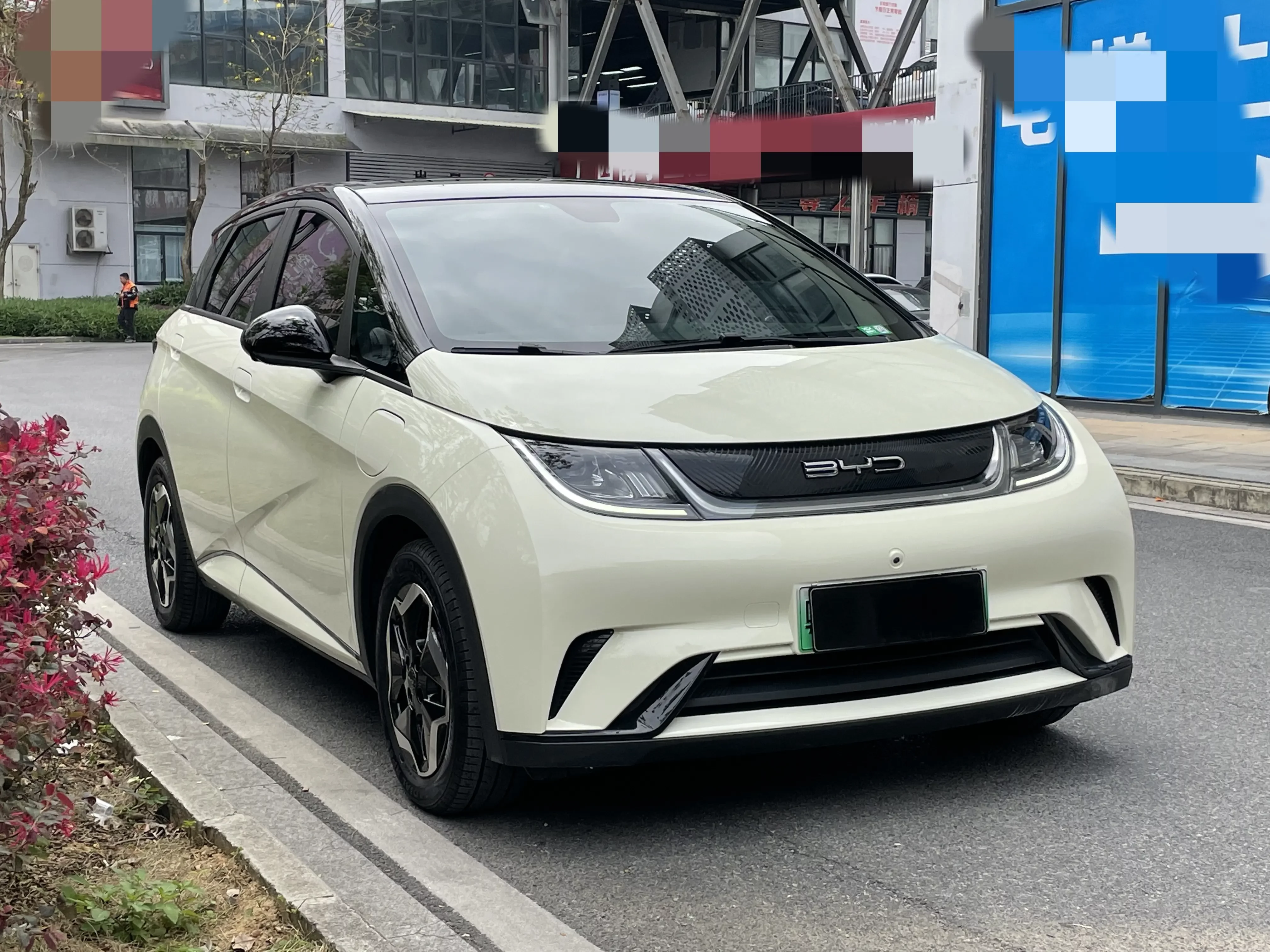 BYD dolphin