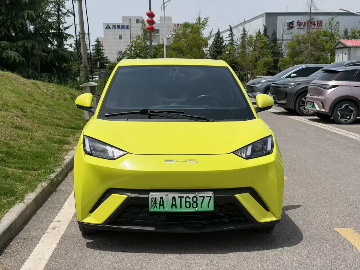BYD seagull