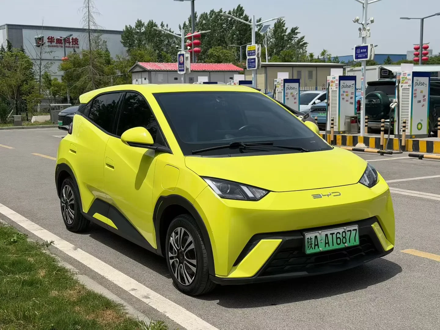 BYD seagull