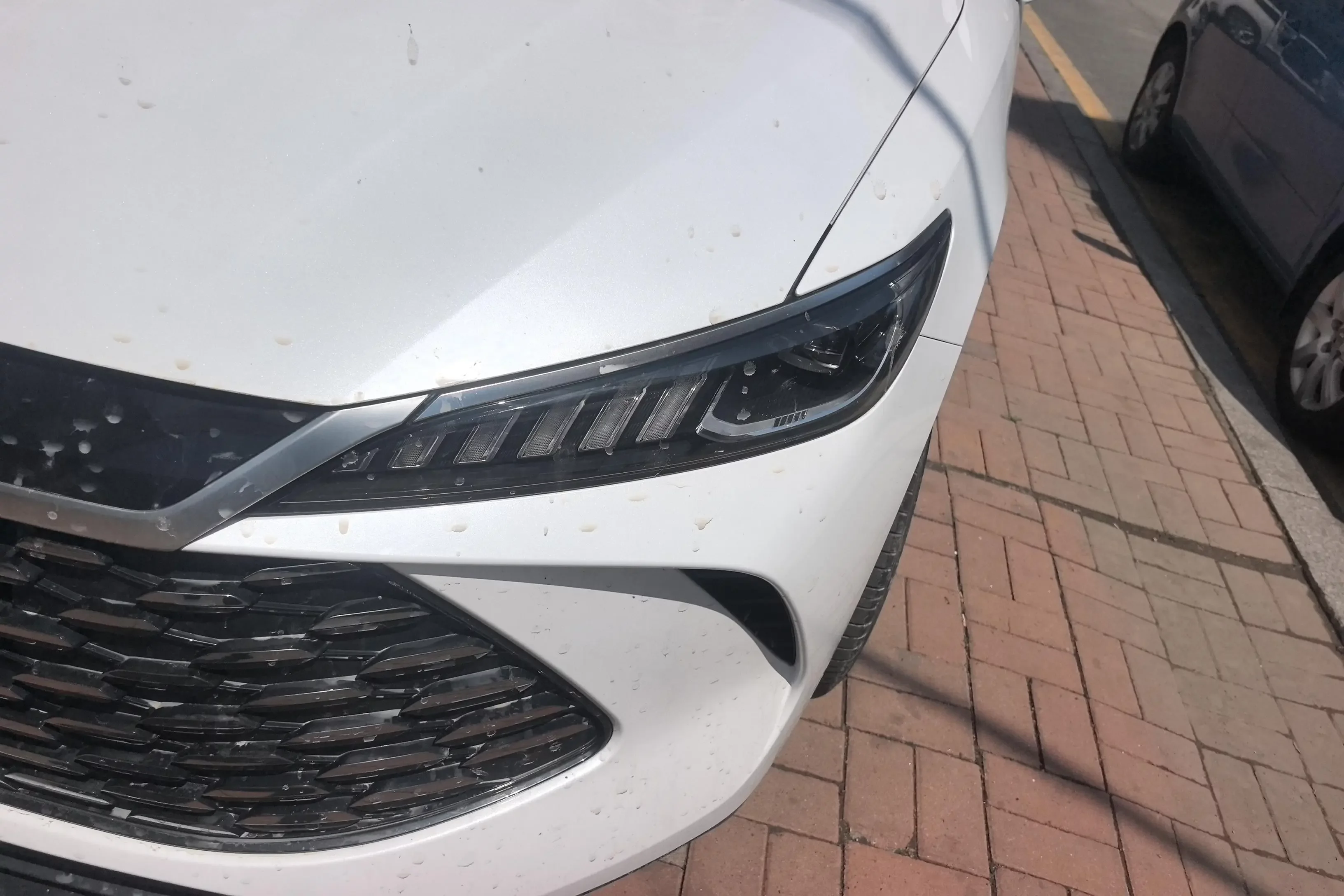 BYD Qin PLUS DM