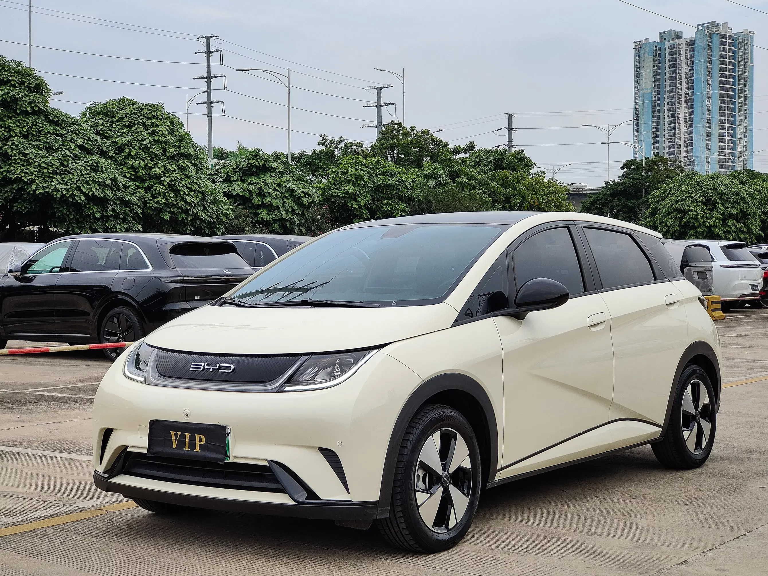 BYD dolphin