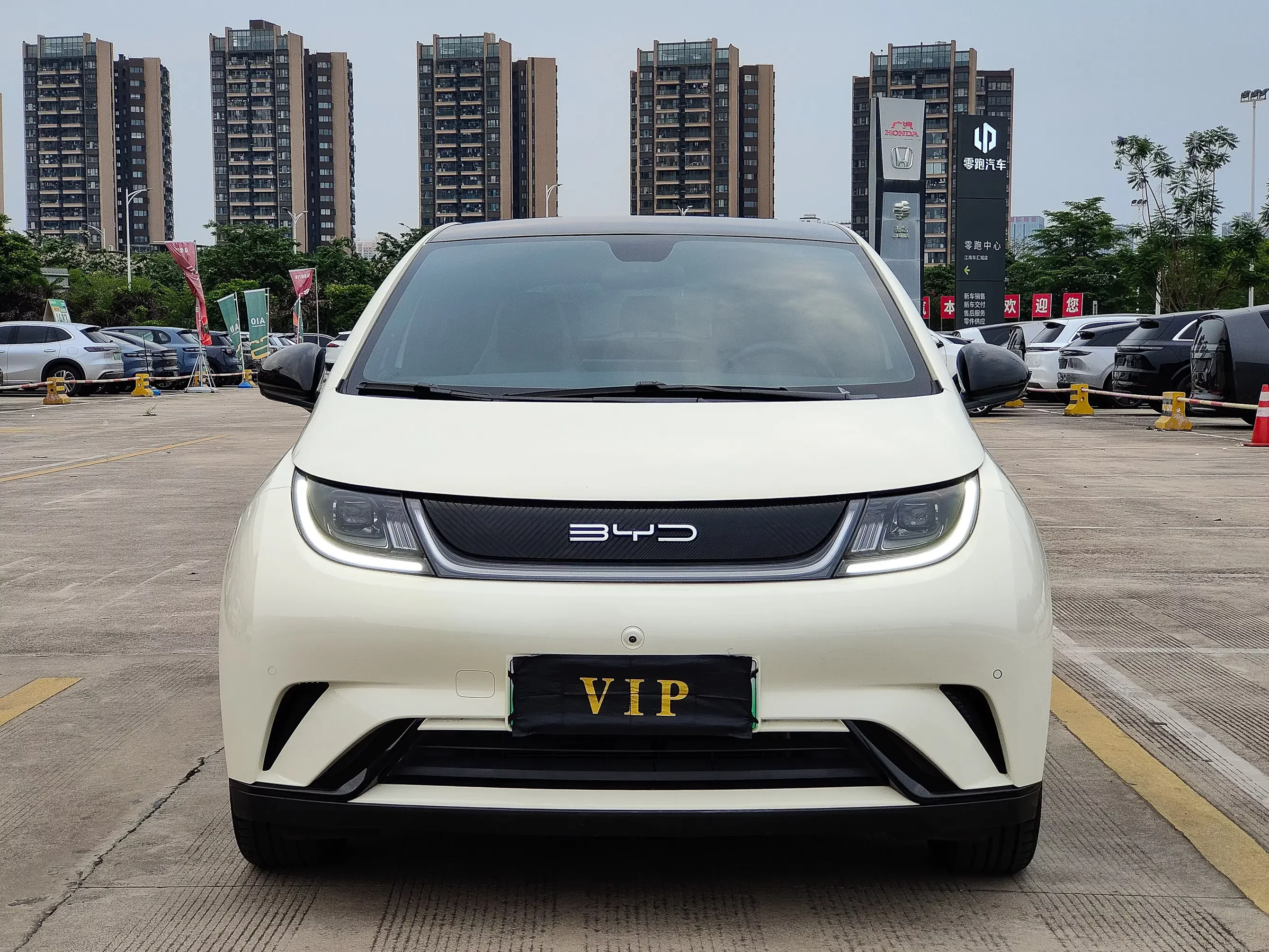 BYD dolphin