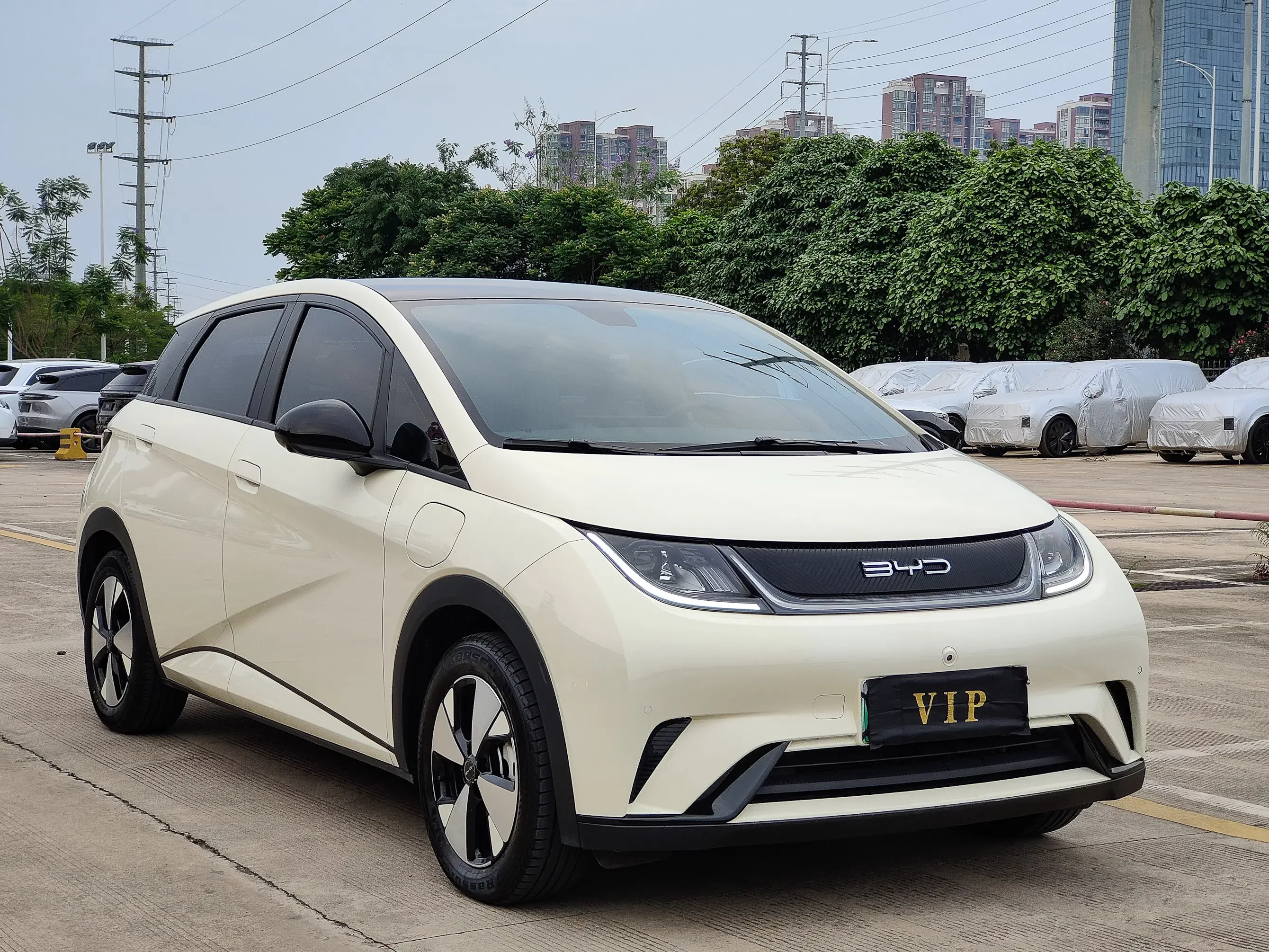 BYD dolphin