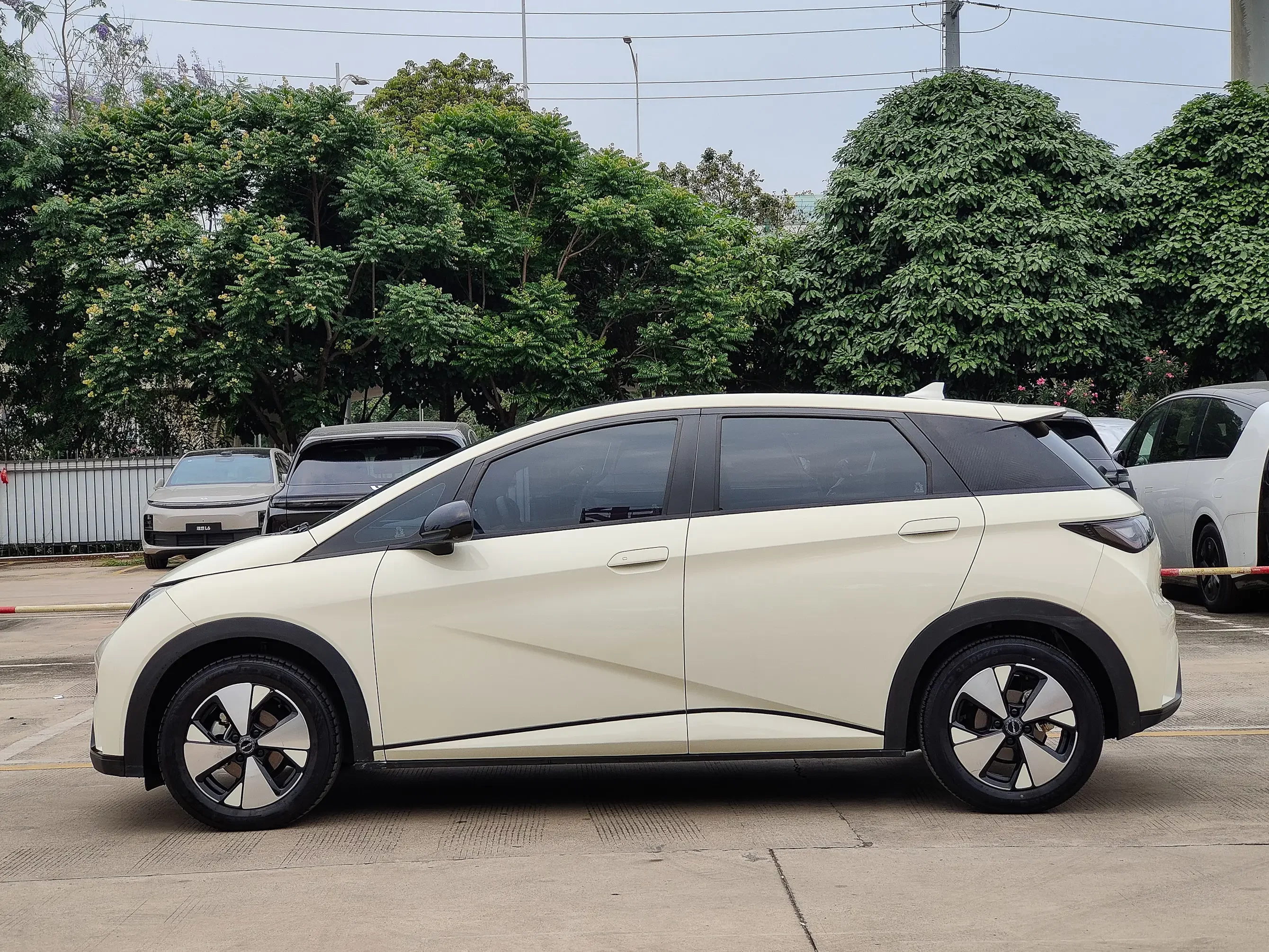 BYD dolphin