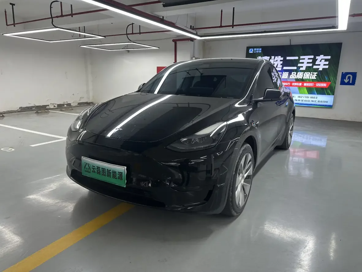 Tesla Model Y  из Китая