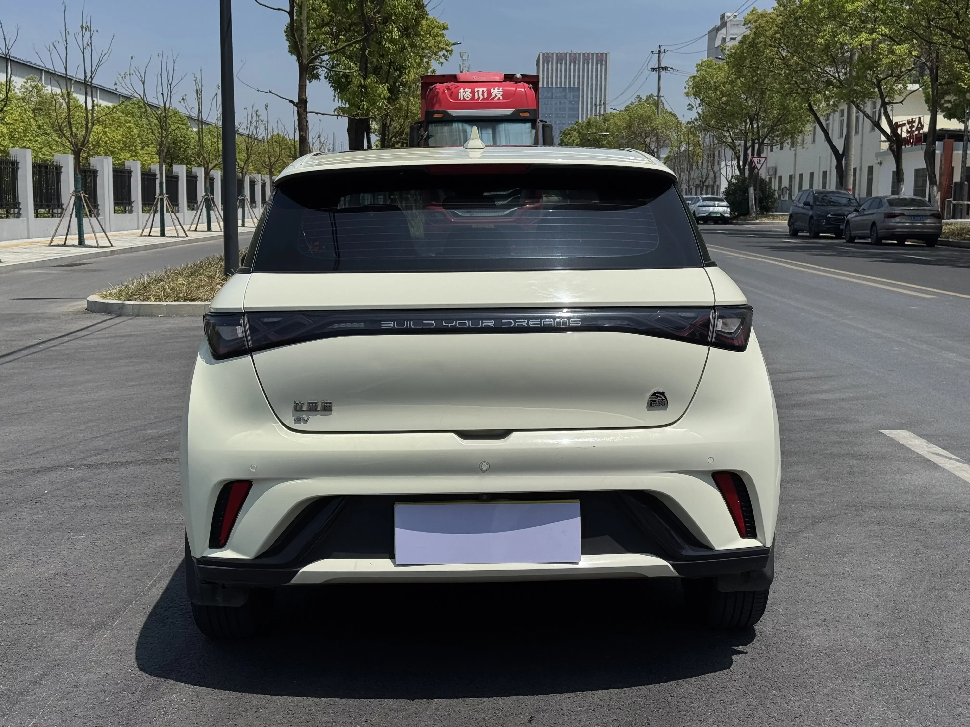 BYD dolphin