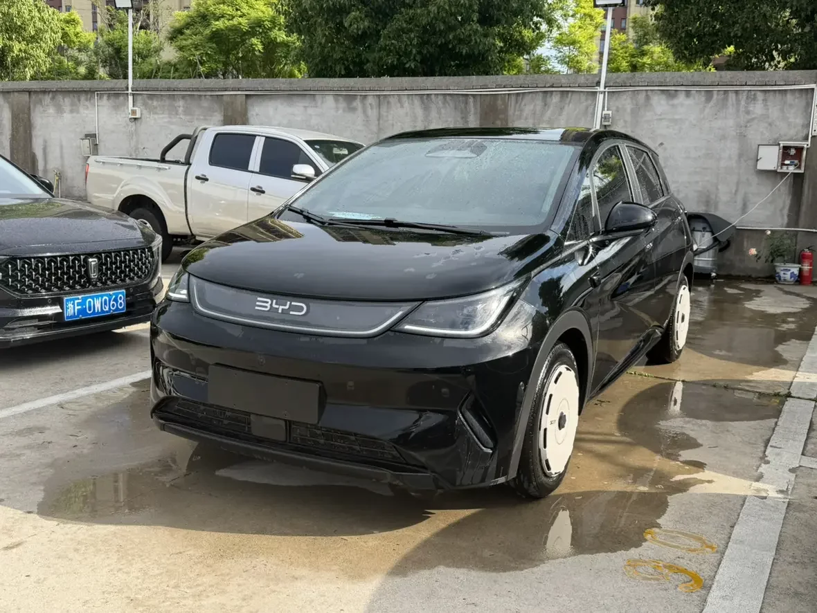 BYD dolphin