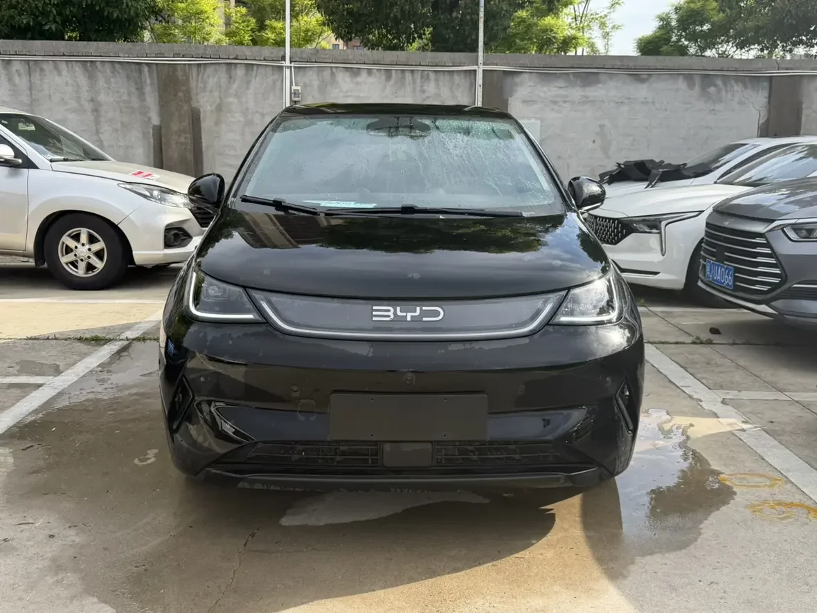 BYD dolphin