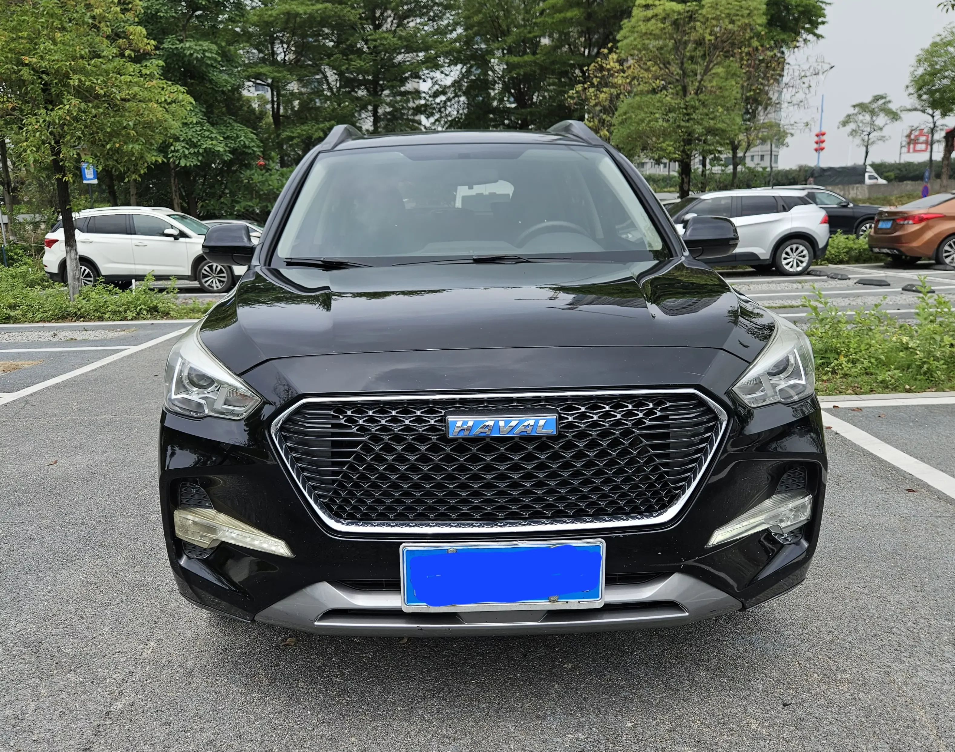 Haval M6
