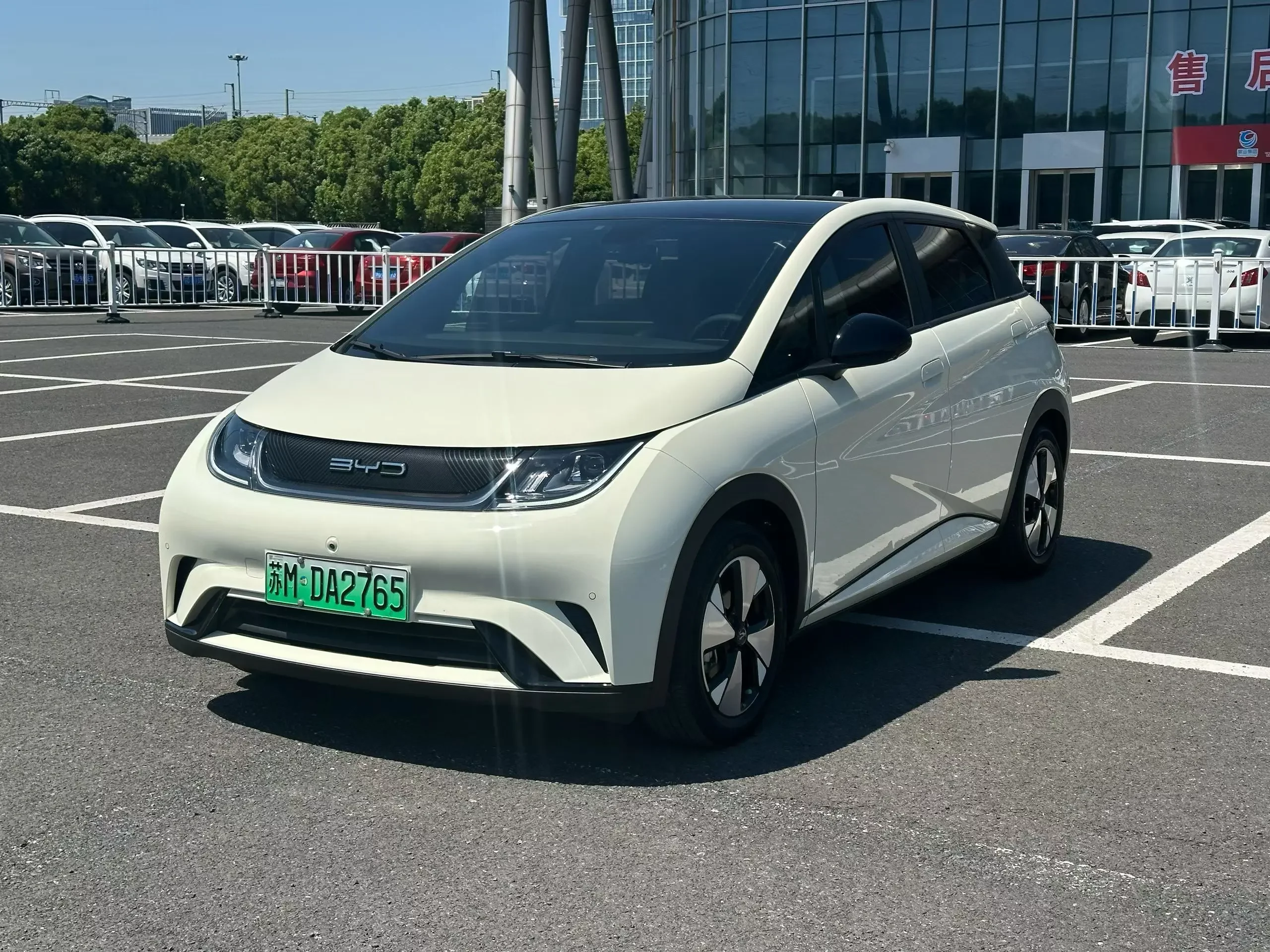 BYD dolphin