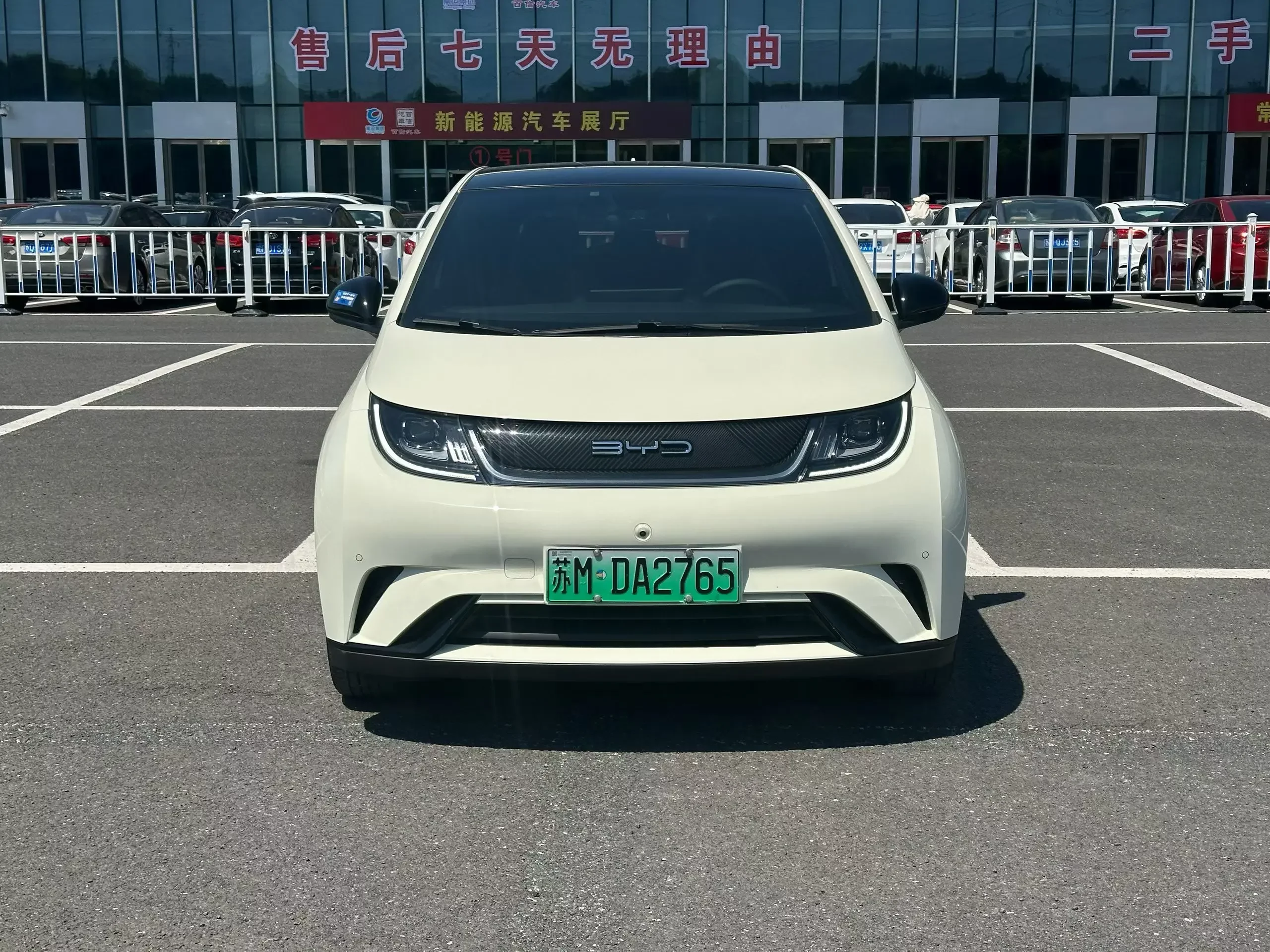 BYD dolphin