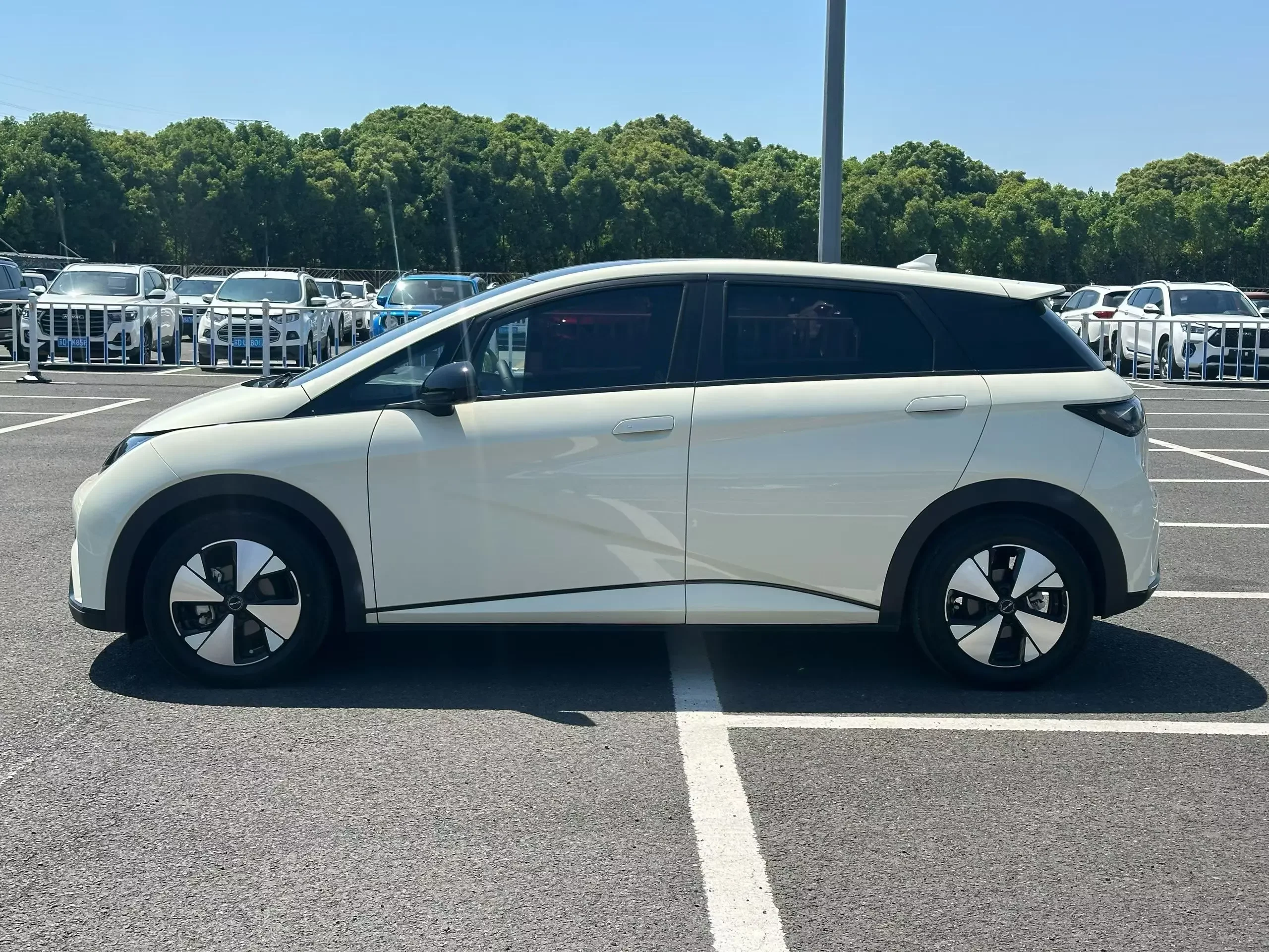 BYD dolphin