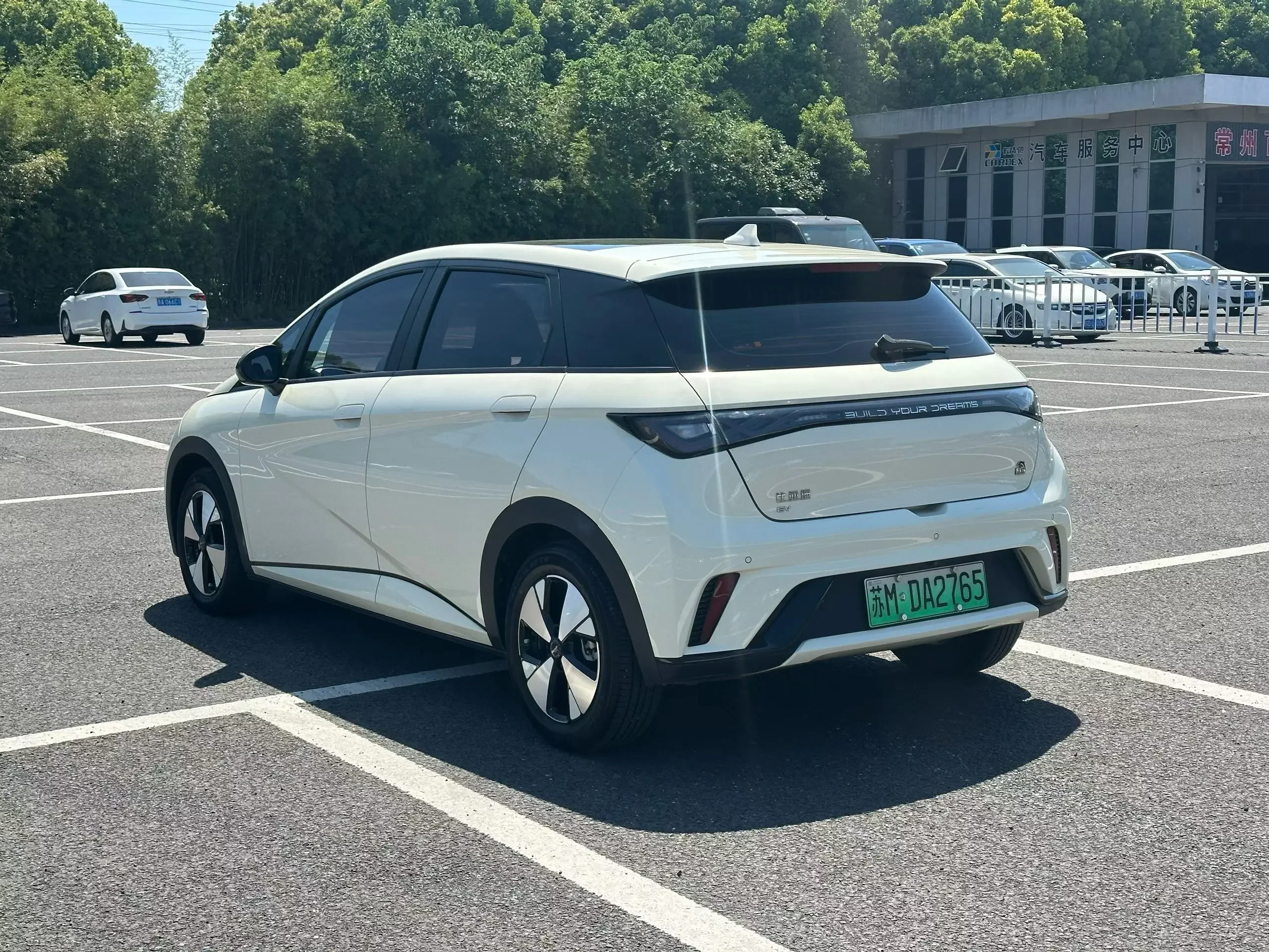 BYD dolphin