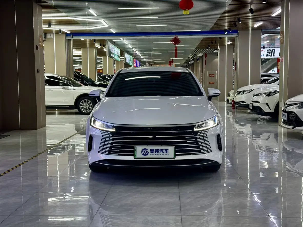 BYD Destroyer 05