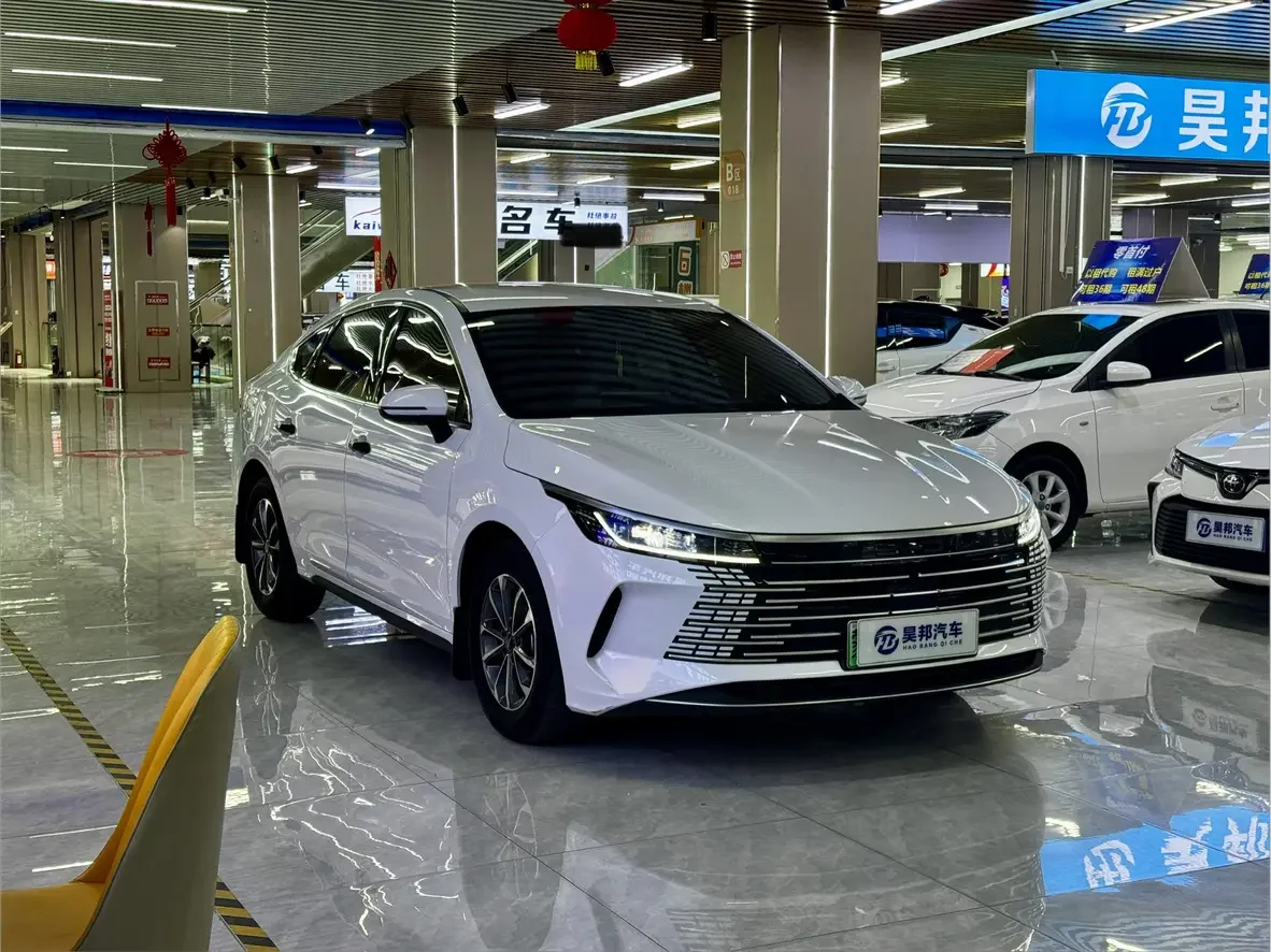 BYD Destroyer 05