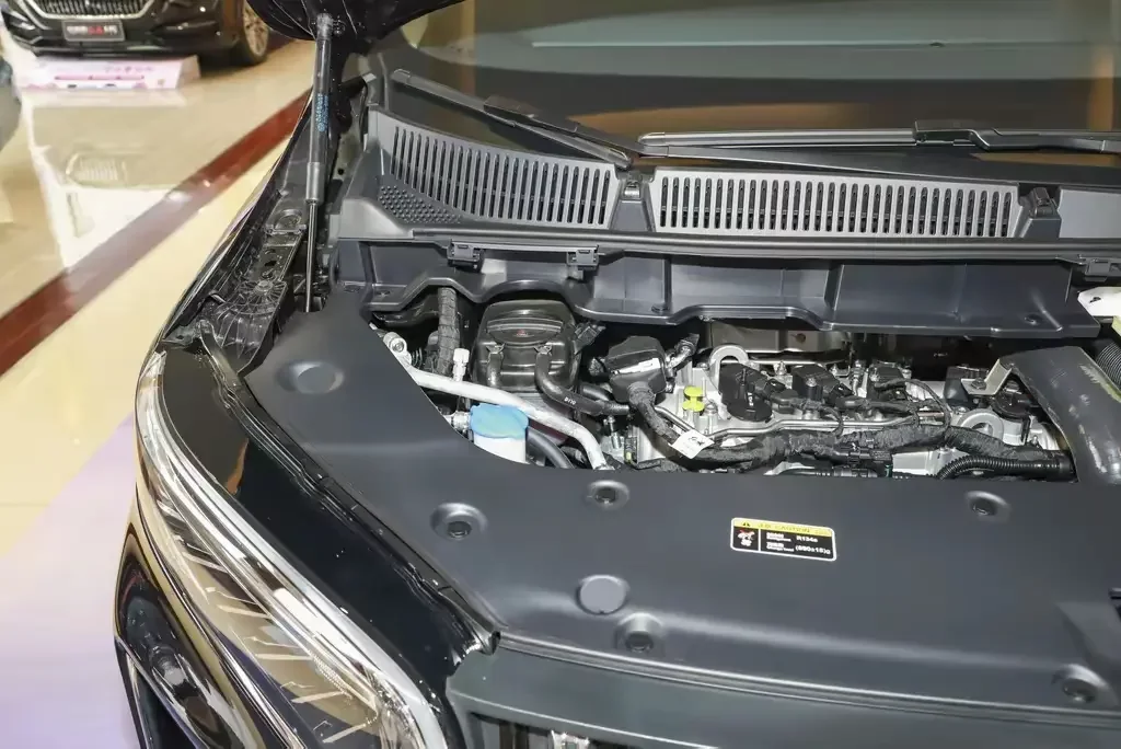 Hongqi HQ9