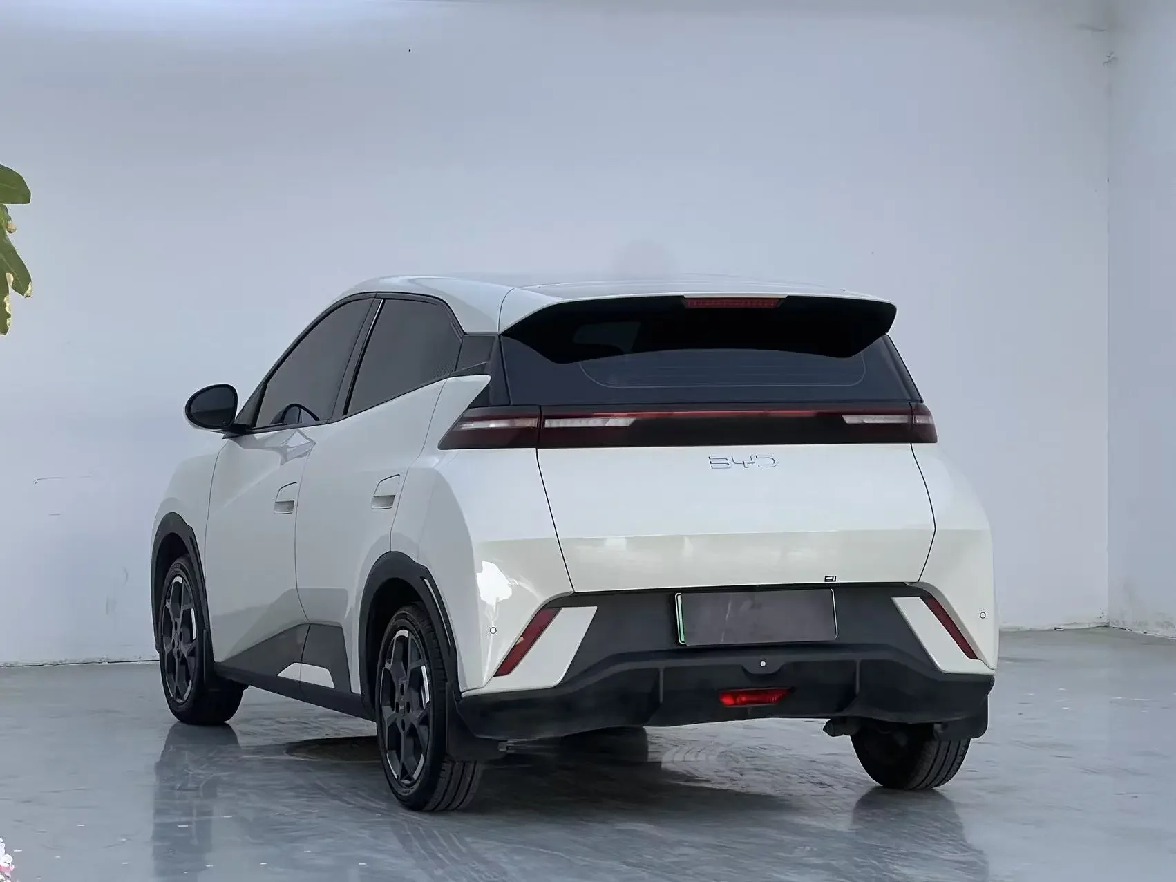 BYD seagull