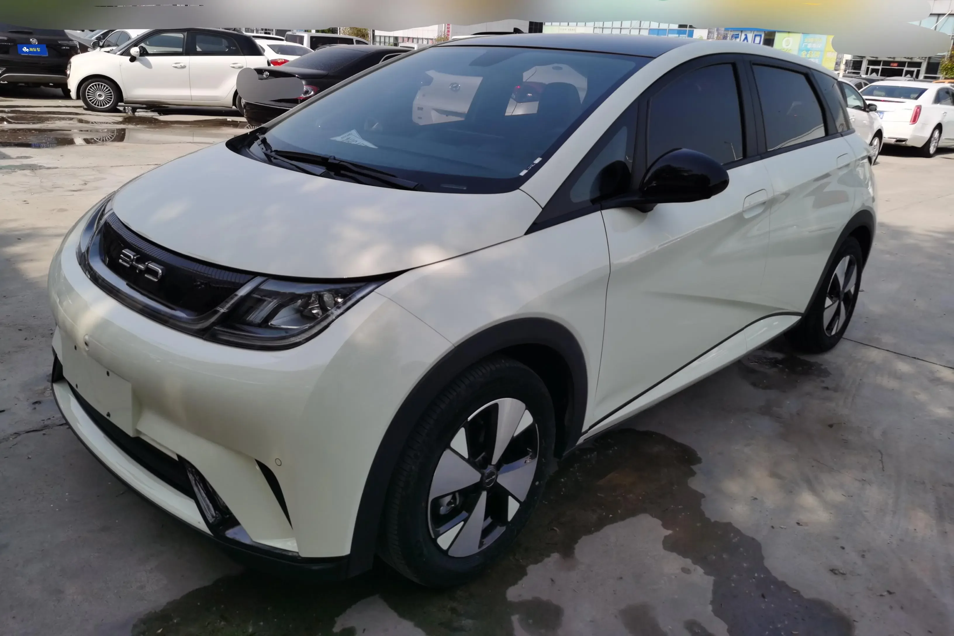 BYD dolphin