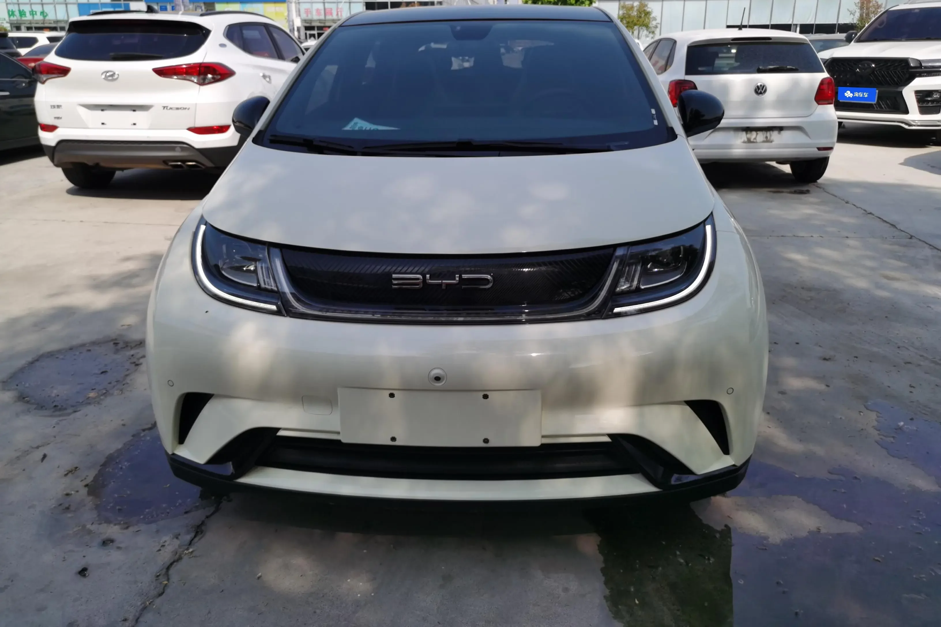 BYD dolphin
