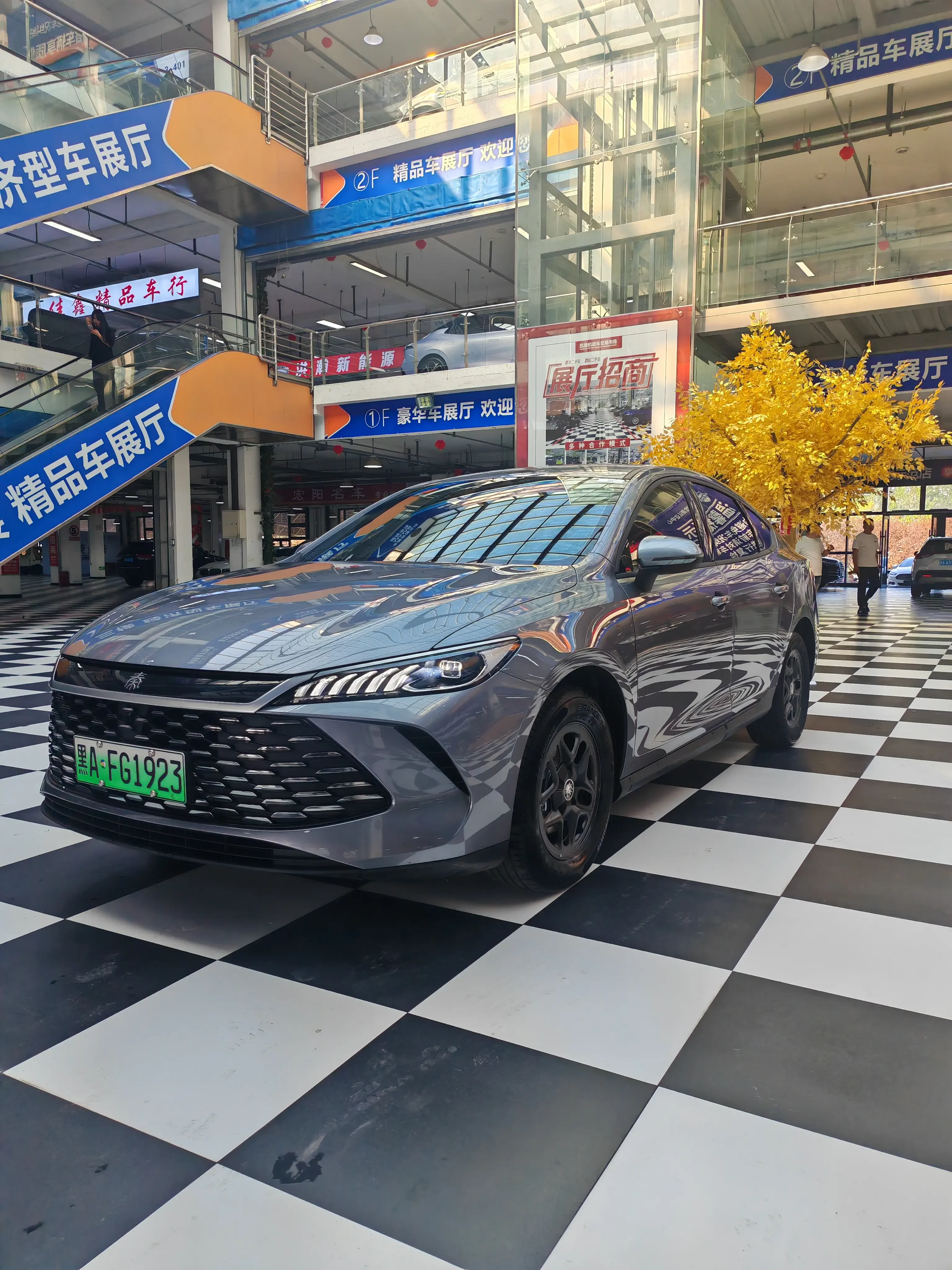 BYD Qin PLUS DM