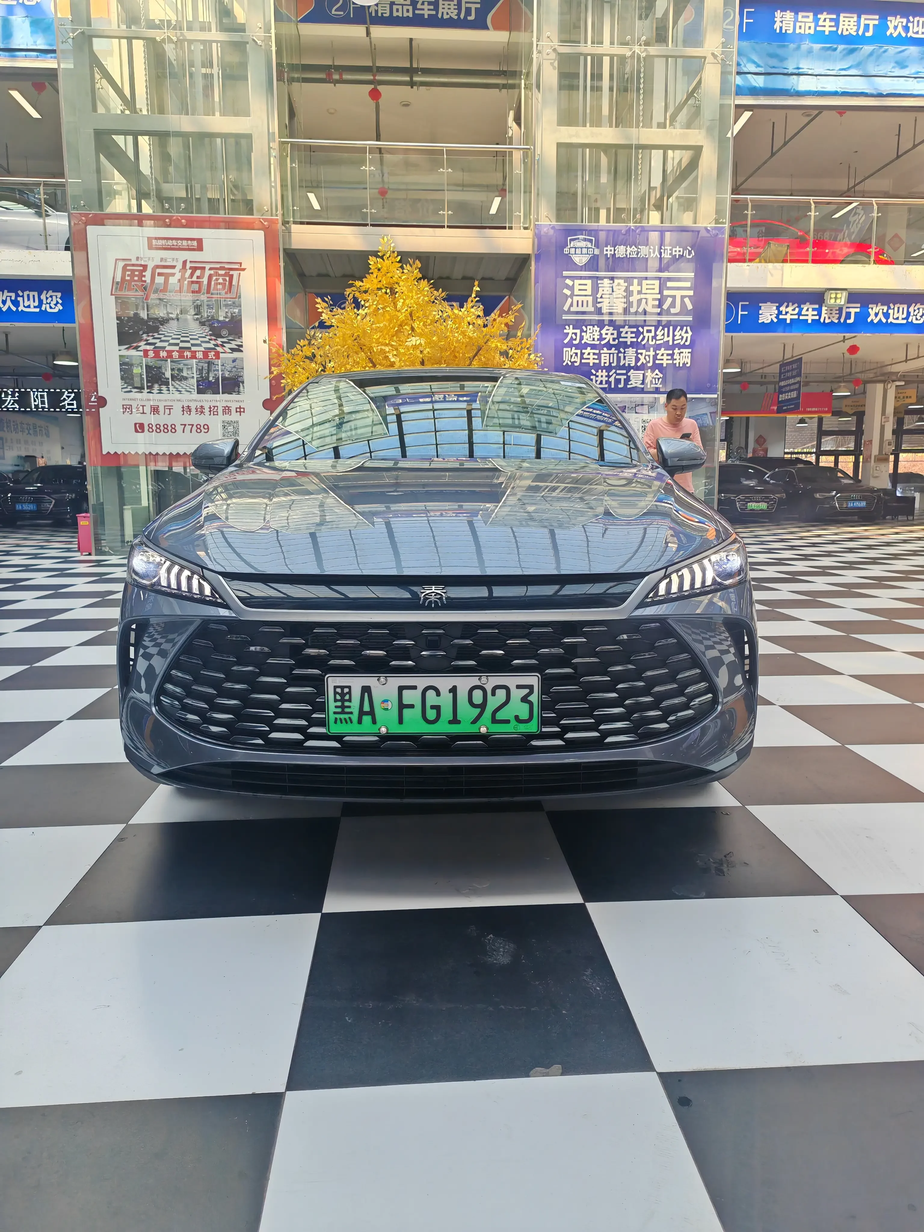BYD Qin PLUS DM