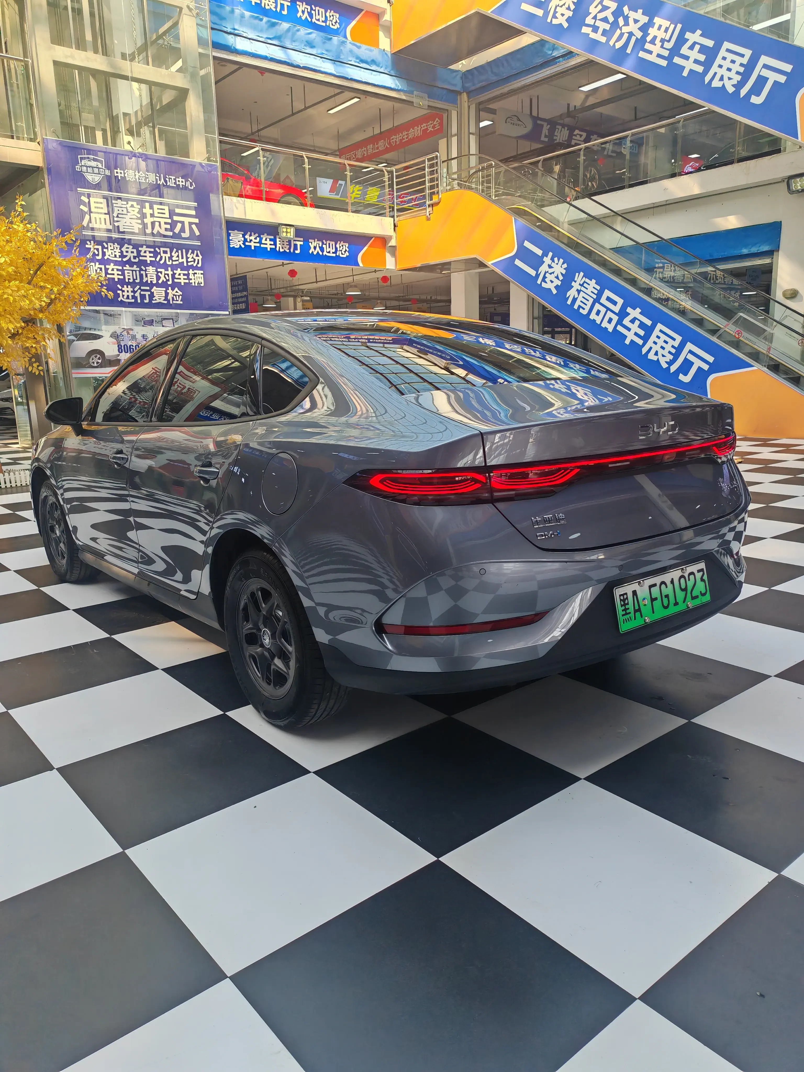 BYD Qin PLUS DM