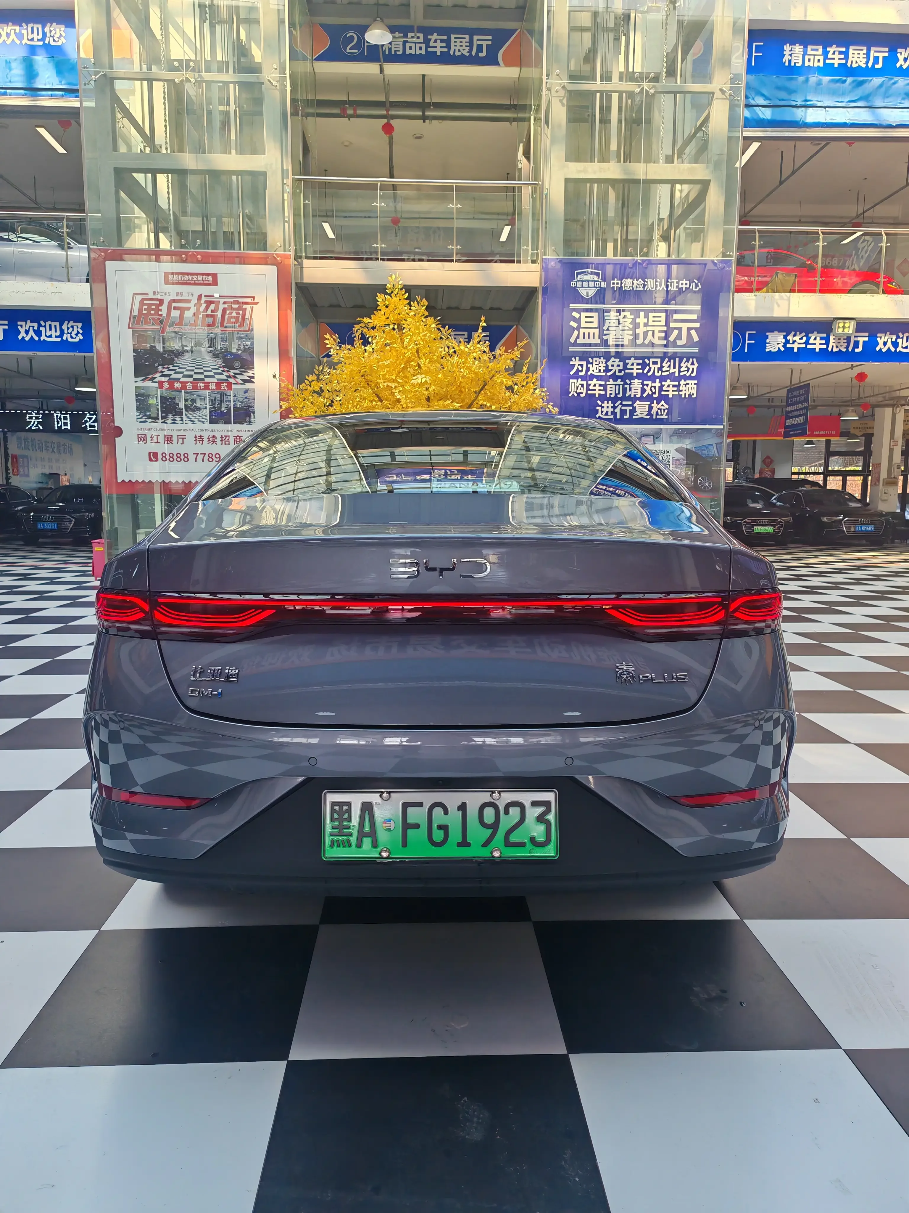 BYD Qin PLUS DM