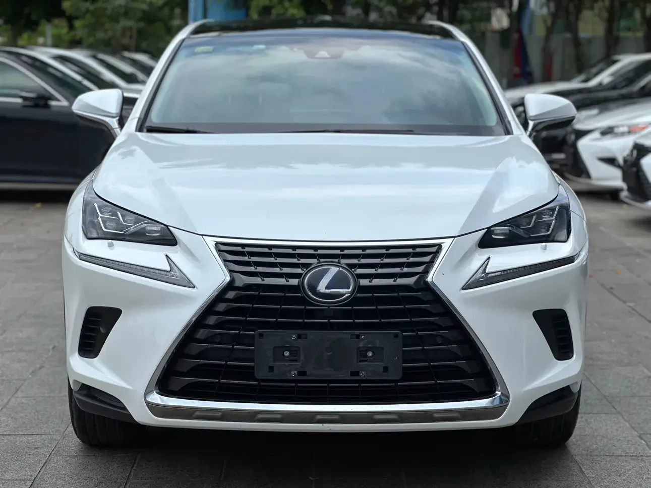Lexus NX