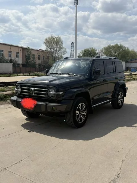 Tank 300