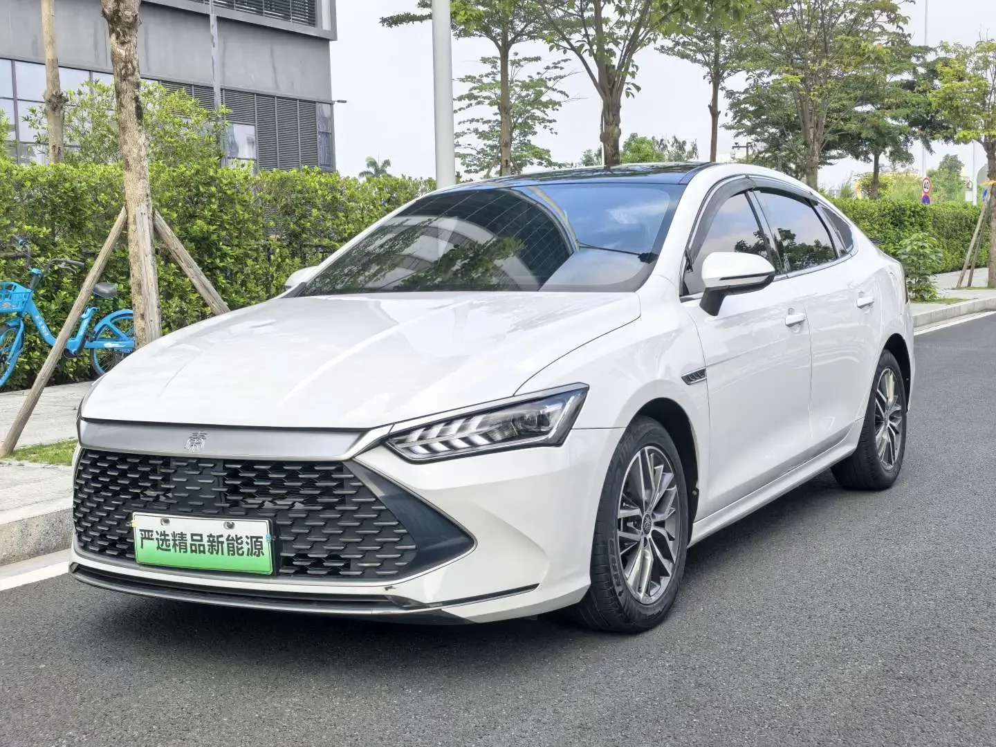 BYD Qin PLUS DM