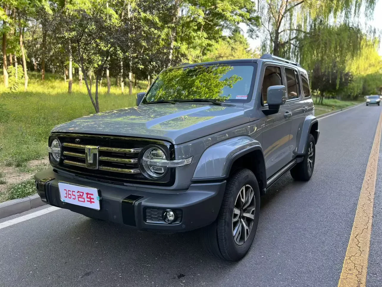 Tank 300